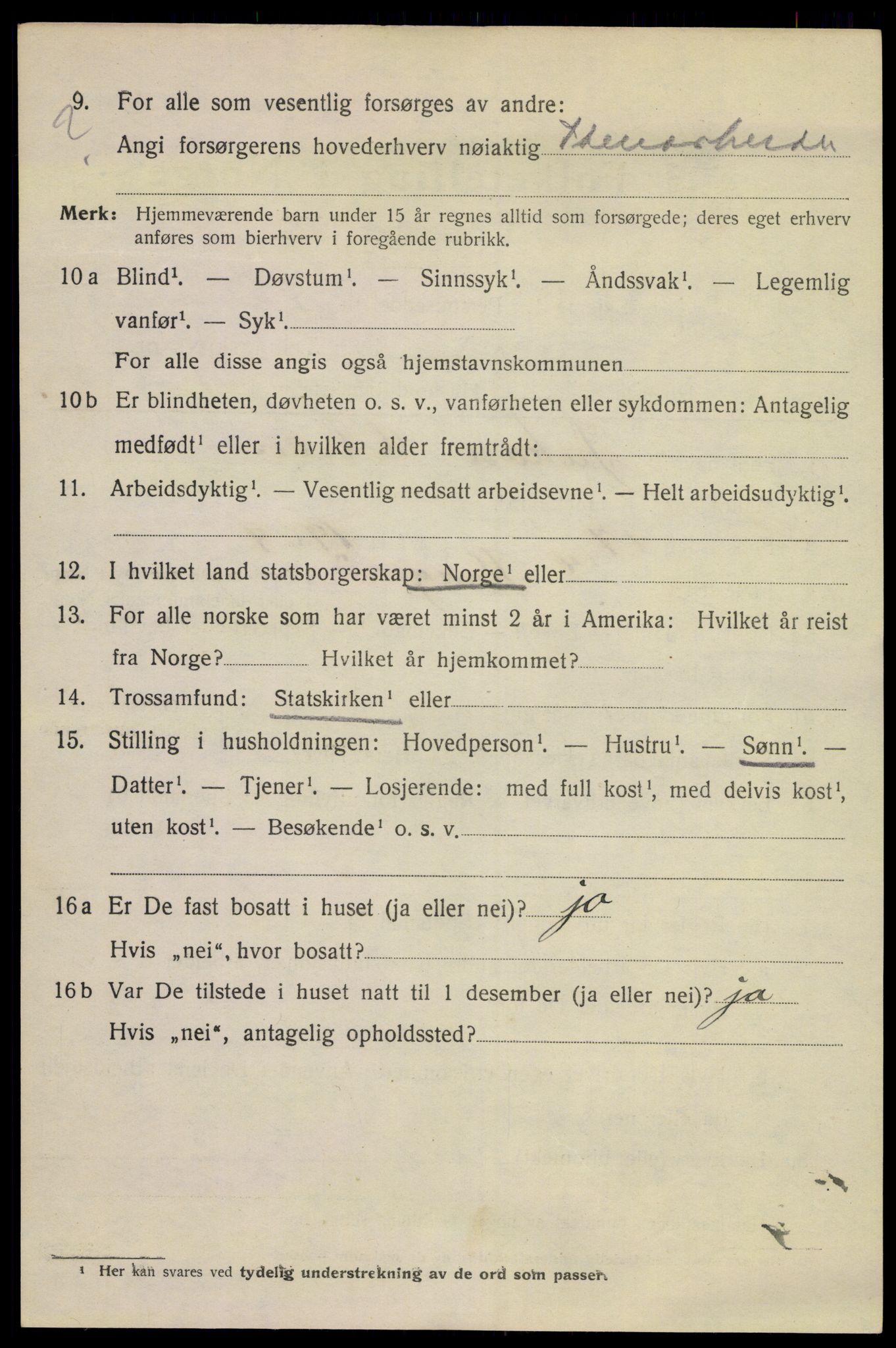SAKO, 1920 census for Kragerø, 1920, p. 11114