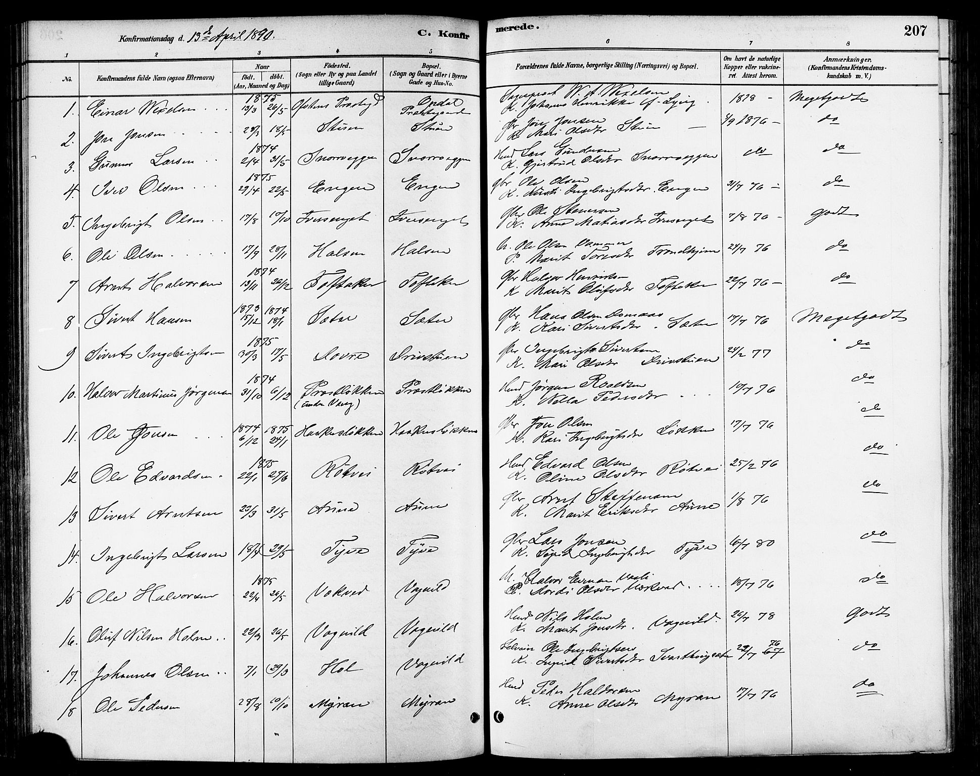 Ministerialprotokoller, klokkerbøker og fødselsregistre - Sør-Trøndelag, AV/SAT-A-1456/678/L0901: Parish register (official) no. 678A10, 1881-1894, p. 207