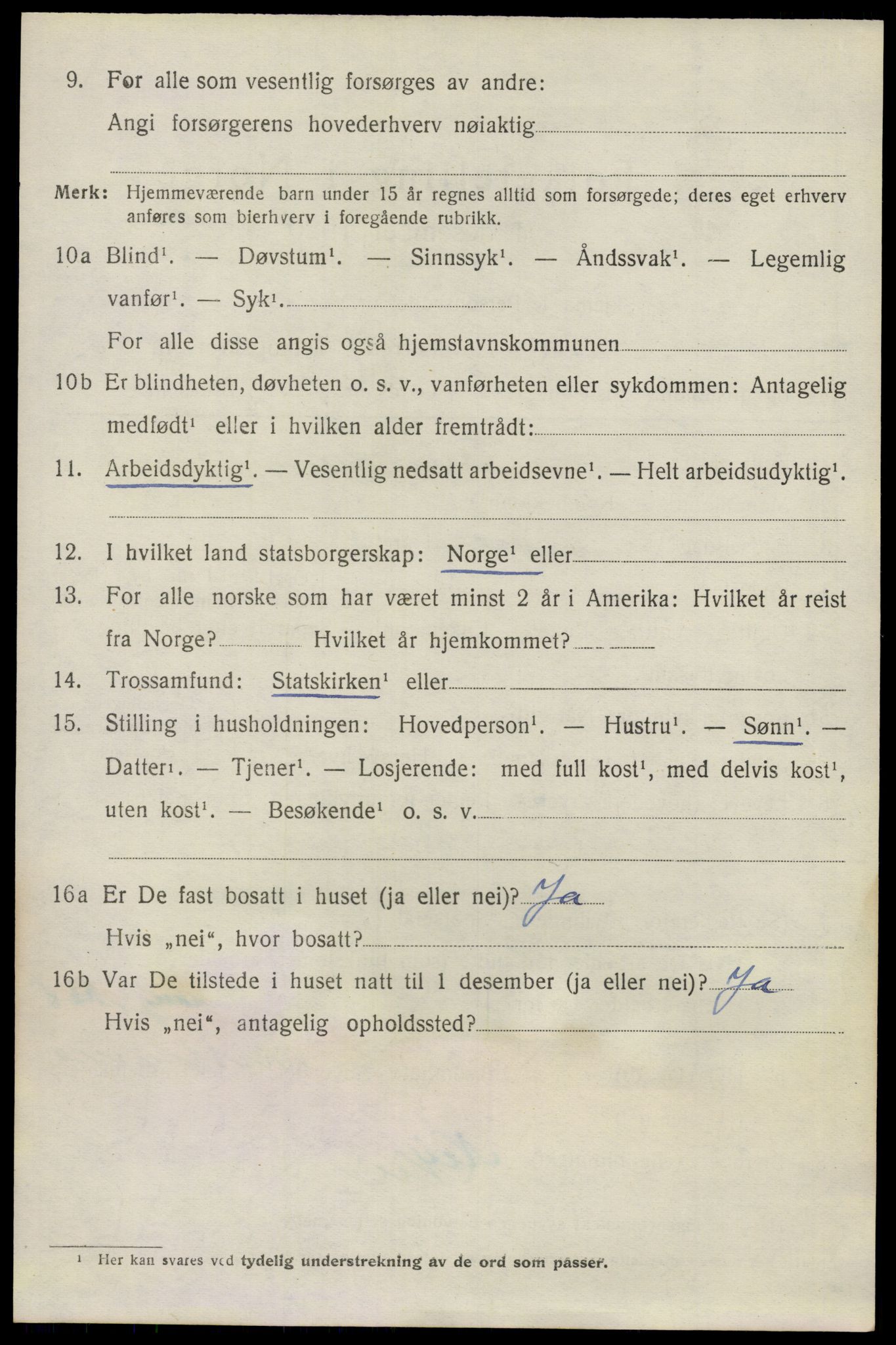 SAO, 1920 census for Nes, 1920, p. 13725