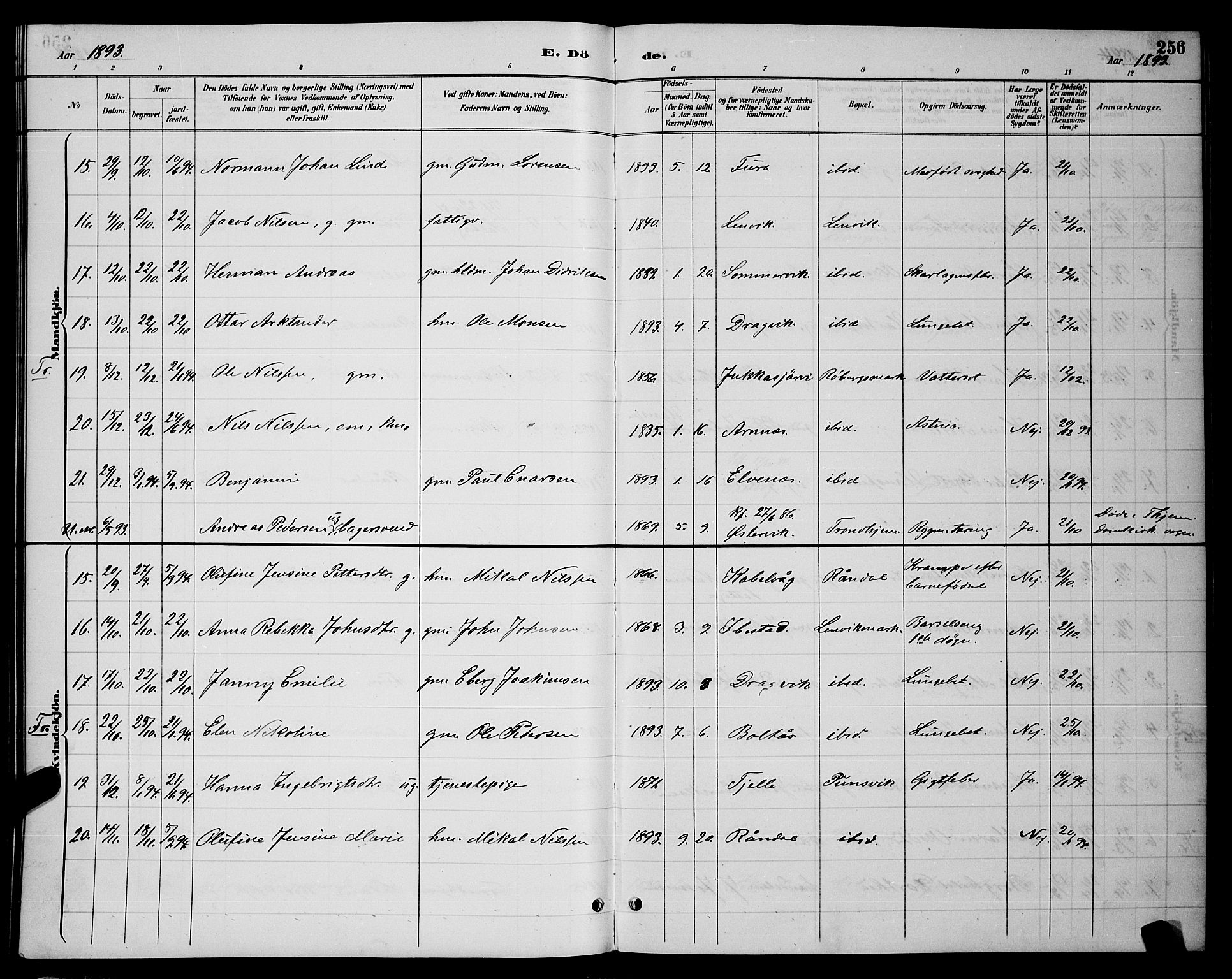 Ministerialprotokoller, klokkerbøker og fødselsregistre - Nordland, AV/SAT-A-1459/863/L0914: Parish register (copy) no. 863C04, 1886-1897, p. 256