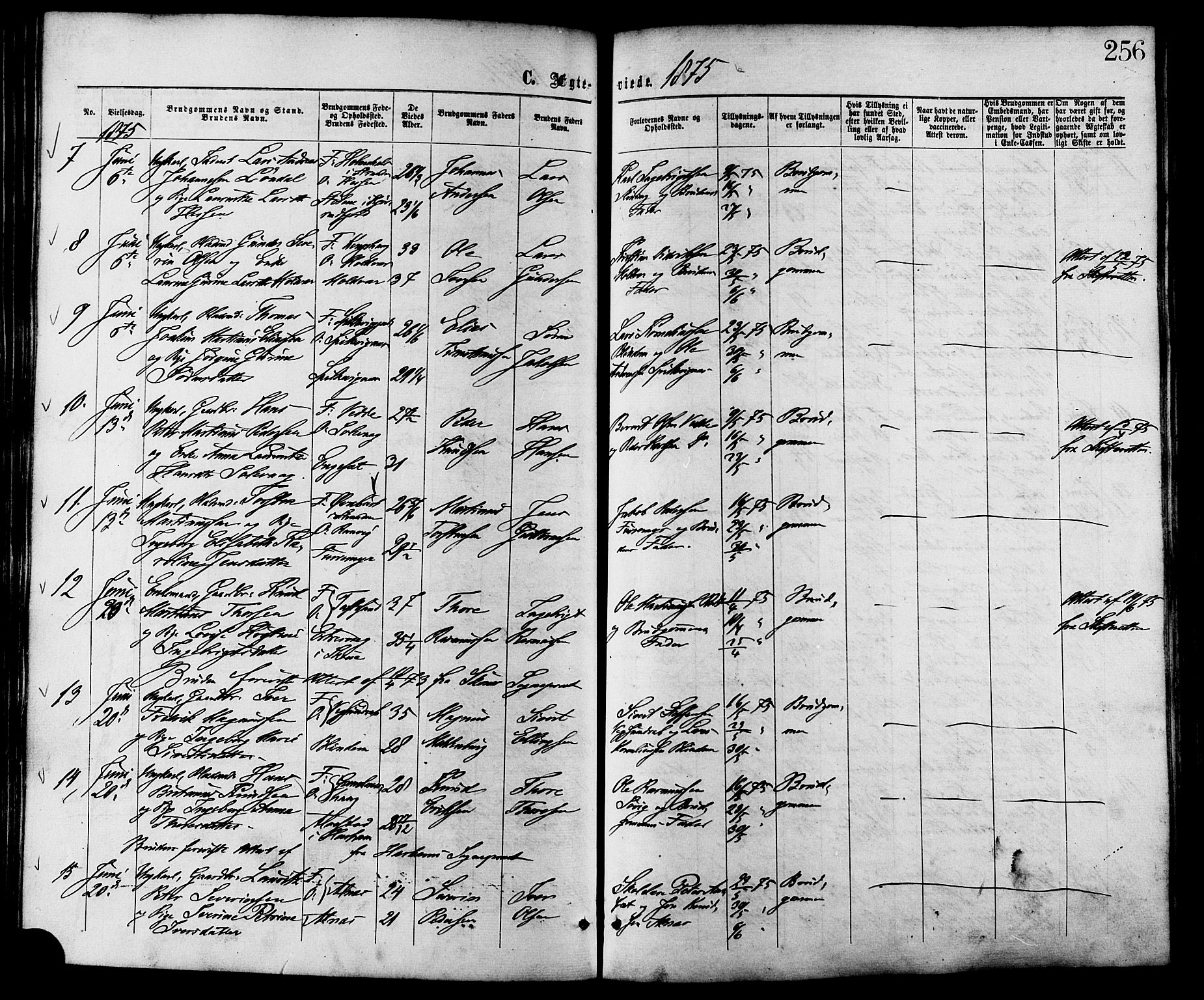 Ministerialprotokoller, klokkerbøker og fødselsregistre - Møre og Romsdal, AV/SAT-A-1454/528/L0399: Parish register (official) no. 528A10, 1864-1879, p. 256