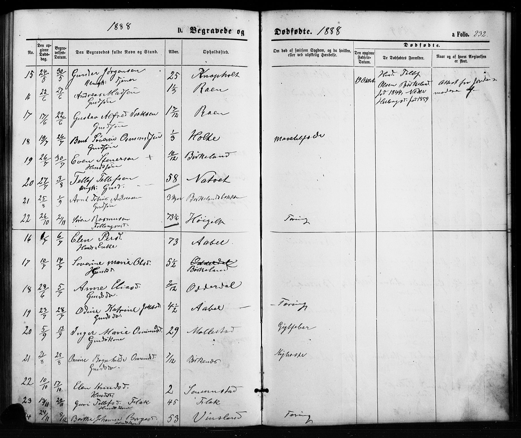 Birkenes sokneprestkontor, SAK/1111-0004/F/Fb/L0003: Parish register (copy) no. B 3, 1876-1892, p. 232