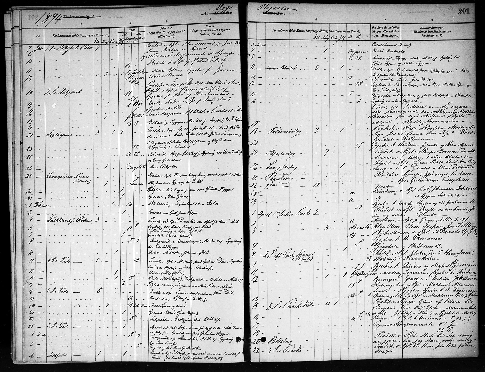 Røyken kirkebøker, SAKO/A-241/F/Fa/L0008: Parish register (official) no. 8, 1880-1897, p. 201