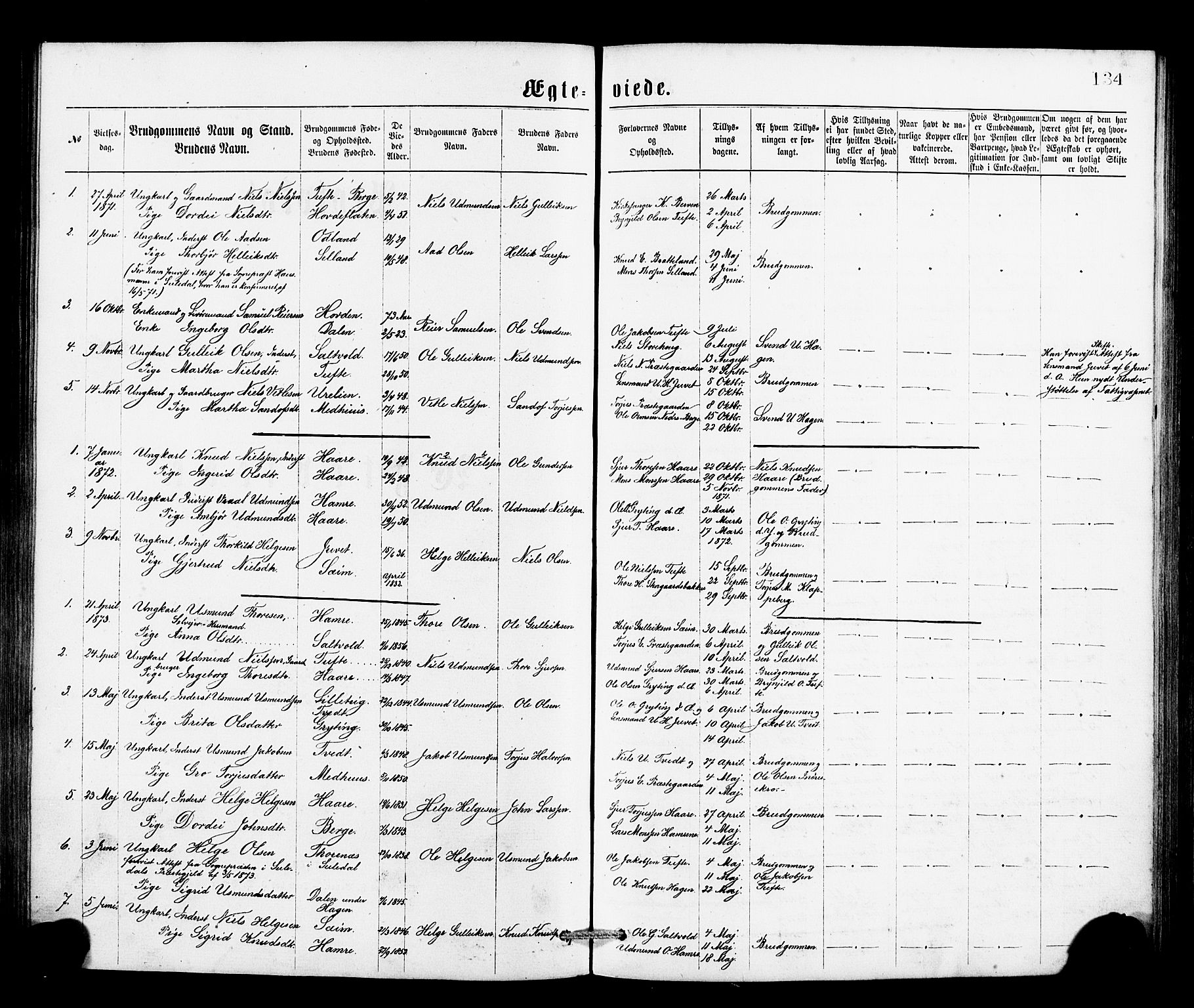 Røldal sokneprestembete, SAB/A-100247: Parish register (official) no. A 4, 1870-1886, p. 134