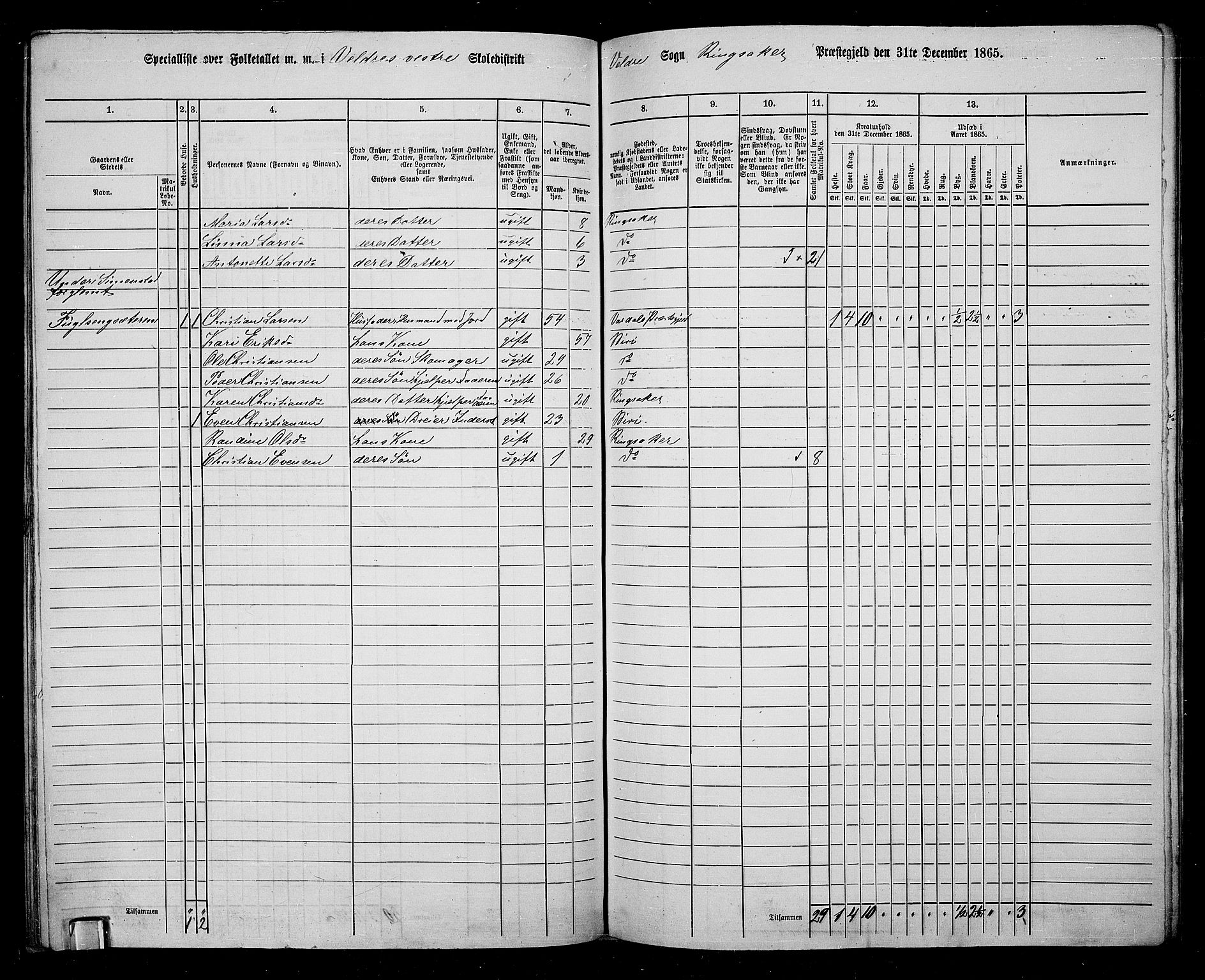 RA, 1865 census for Ringsaker, 1865, p. 175