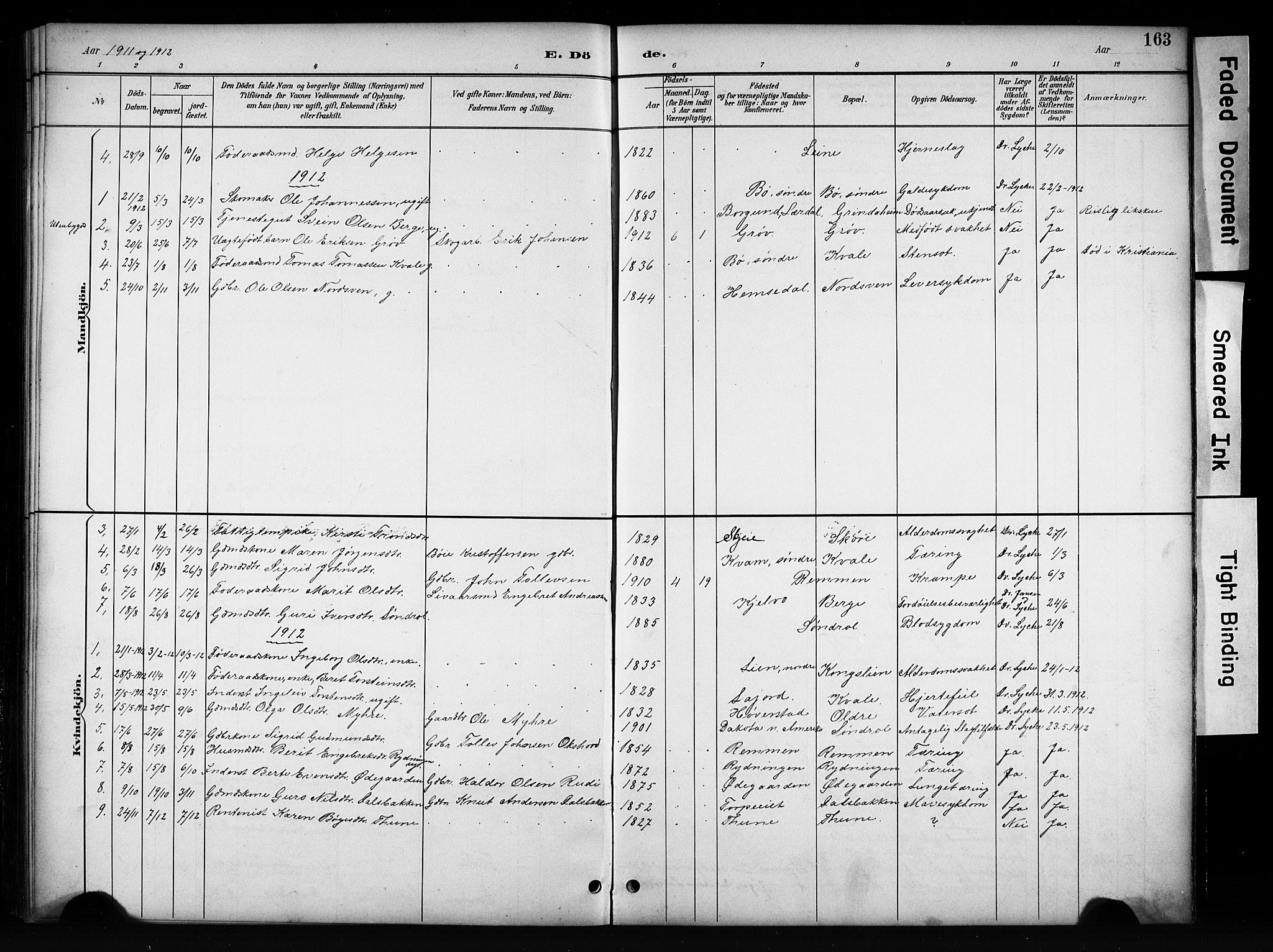 Vang prestekontor, Valdres, SAH/PREST-140/H/Hb/L0006: Parish register (copy) no. 6, 1893-1918, p. 163