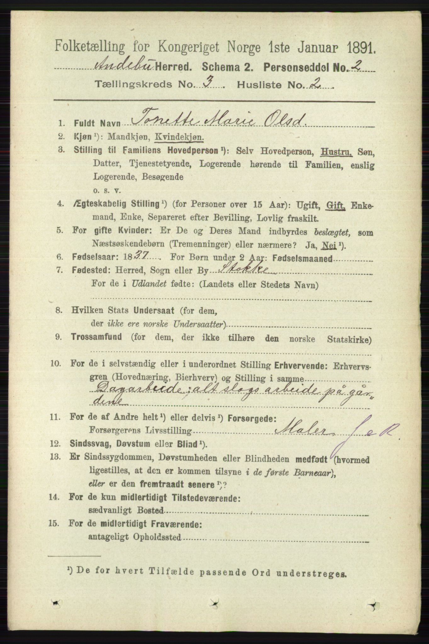 RA, 1891 census for 0719 Andebu, 1891, p. 1506