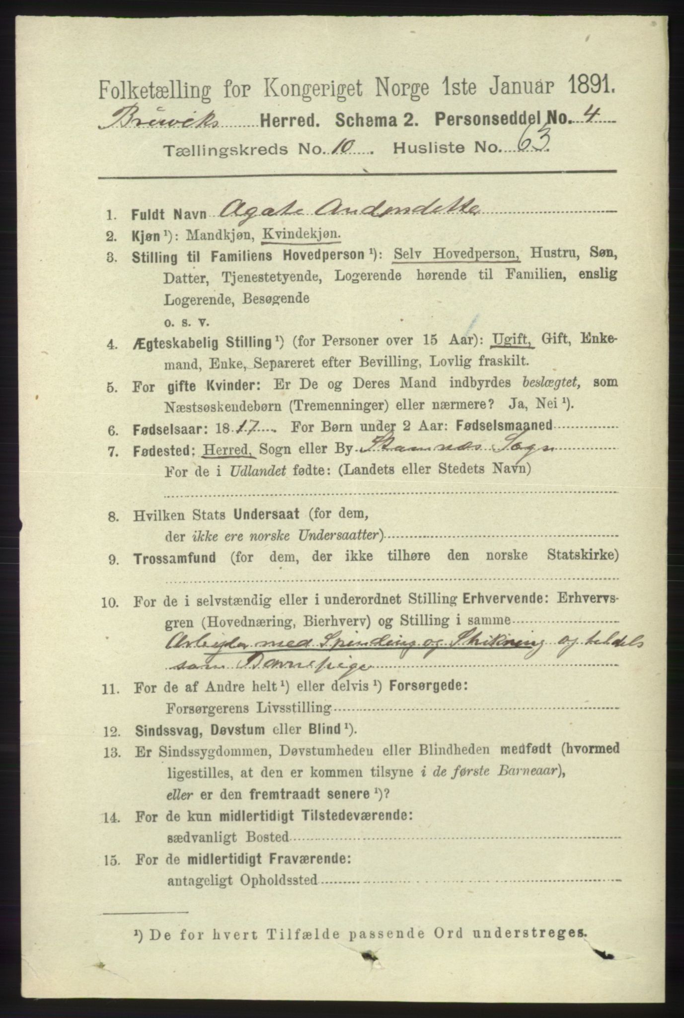 RA, 1891 census for 1251 Bruvik, 1891, p. 4141