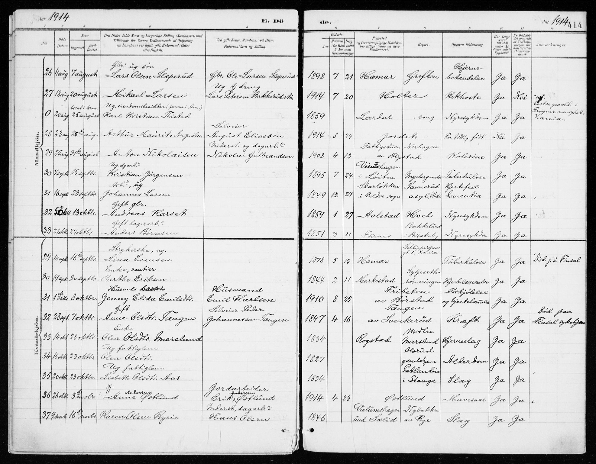 Vang prestekontor, Hedmark, AV/SAH-PREST-008/H/Ha/Haa/L0021: Parish register (official) no. 21, 1902-1917, p. 414