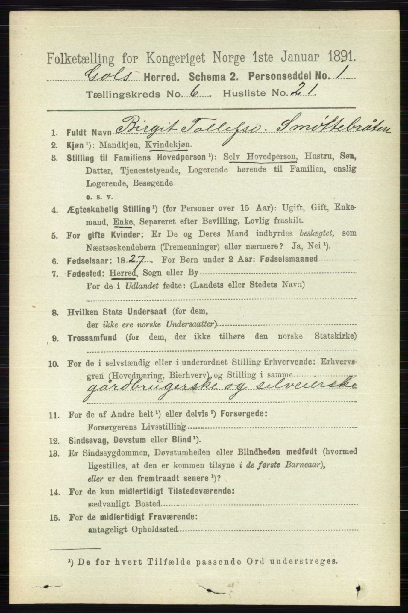 RA, 1891 census for 0617 Gol og Hemsedal, 1891, p. 2519