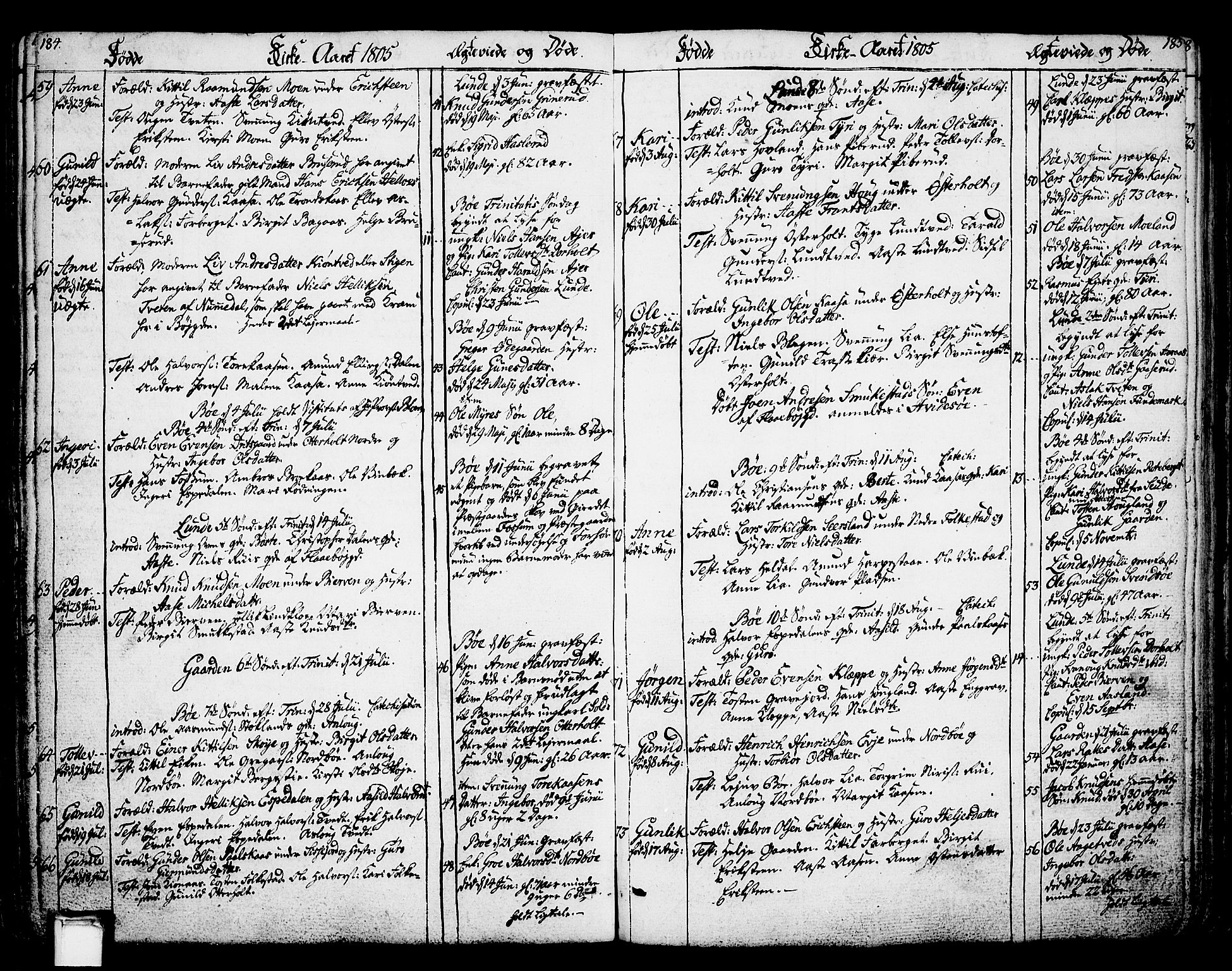 Bø kirkebøker, SAKO/A-257/F/Fa/L0005: Parish register (official) no. 5, 1785-1815, p. 184-185