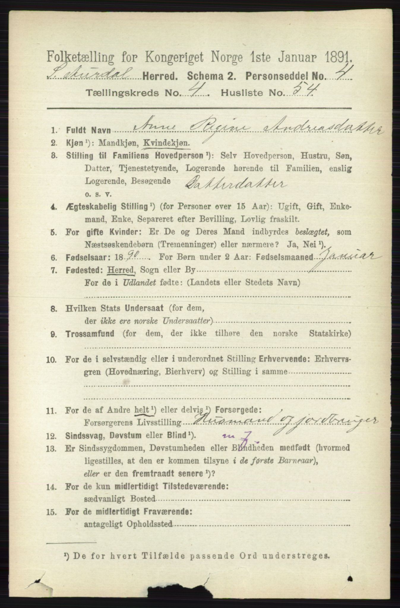 RA, 1891 census for 0540 Sør-Aurdal, 1891, p. 3070