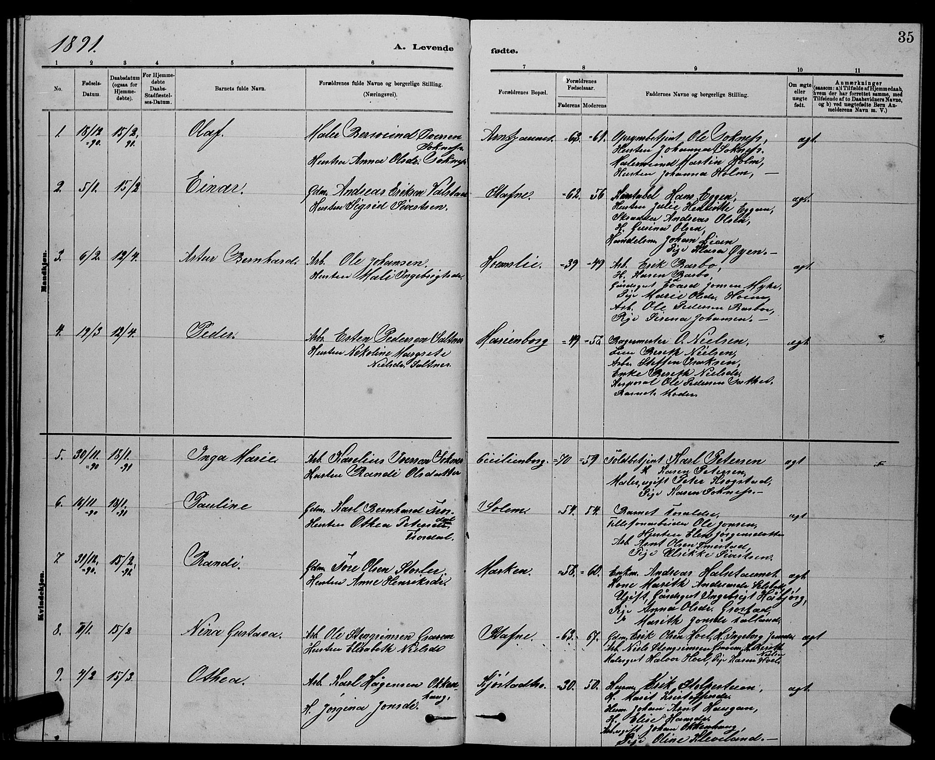 Ministerialprotokoller, klokkerbøker og fødselsregistre - Sør-Trøndelag, SAT/A-1456/611/L0354: Parish register (copy) no. 611C02, 1881-1896, p. 35
