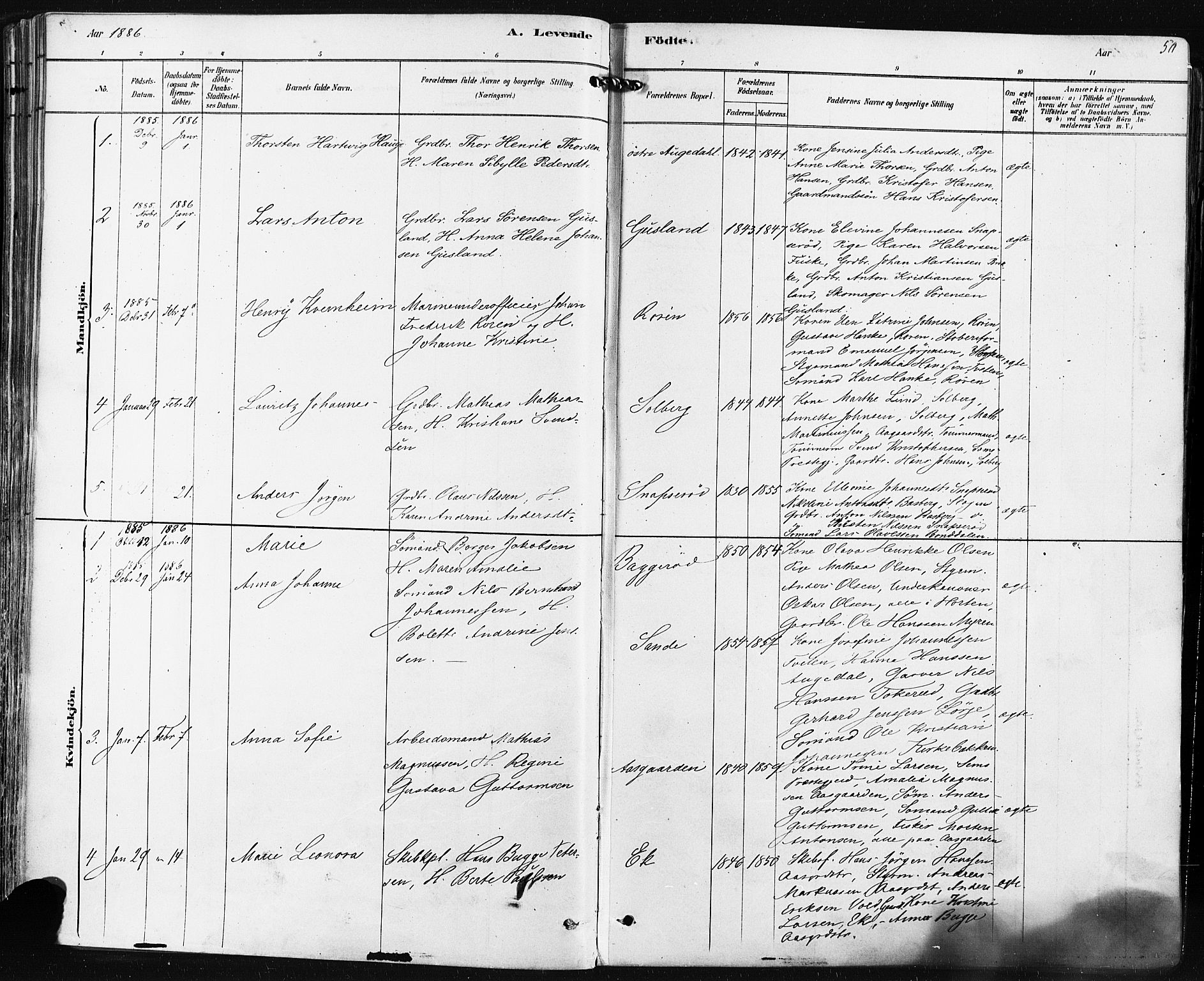 Borre kirkebøker, AV/SAKO-A-338/F/Fa/L0009: Parish register (official) no. I 9, 1878-1896, p. 50