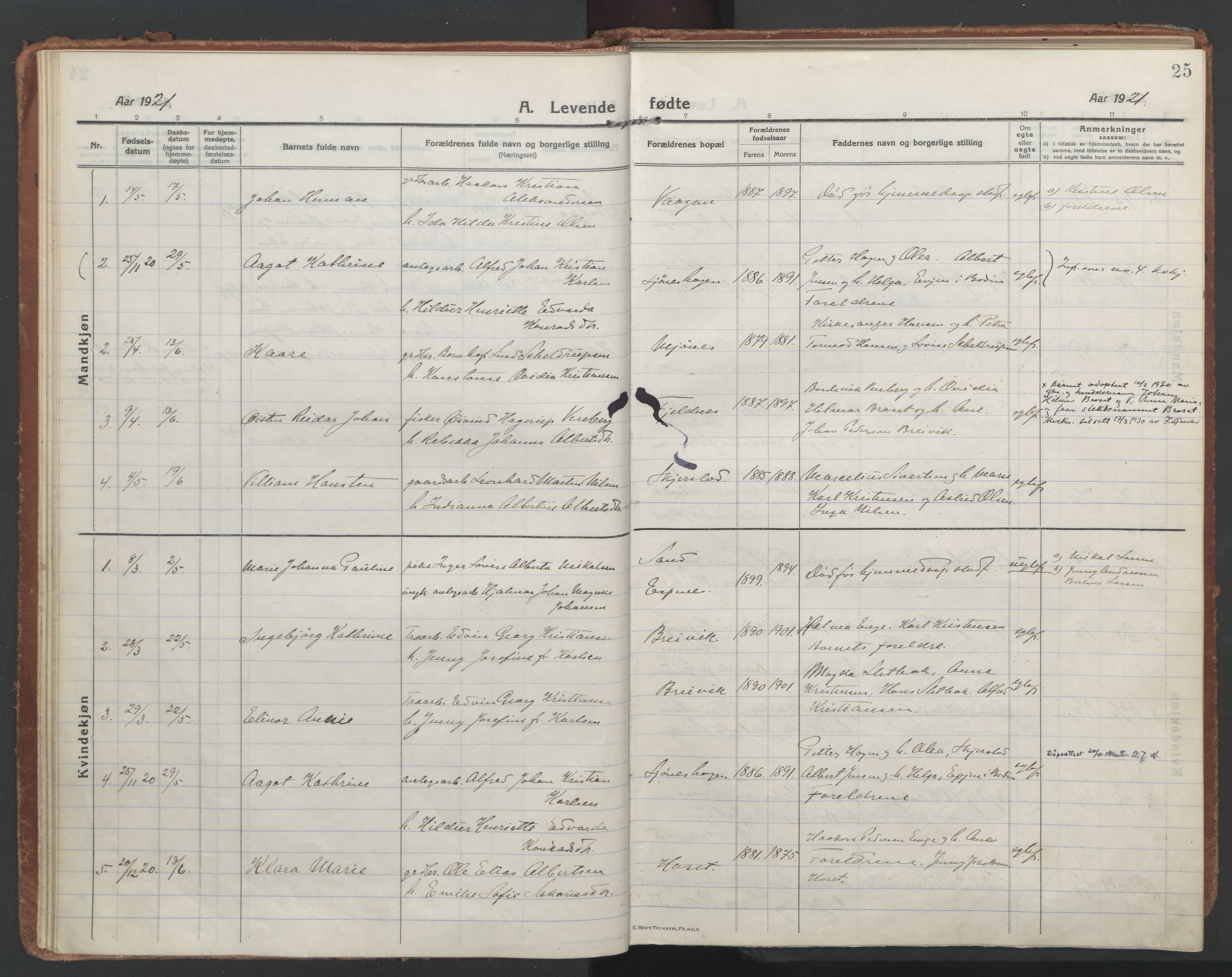 Ministerialprotokoller, klokkerbøker og fødselsregistre - Nordland, AV/SAT-A-1459/852/L0748: Parish register (official) no. 852A18, 1913-1932, p. 25