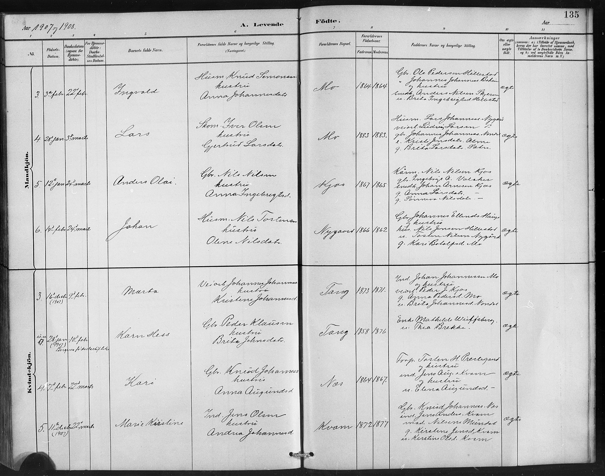 Hafslo sokneprestembete, AV/SAB-A-80301/H/Hab/Habb/L0001: Parish register (copy) no. B 1, 1882-1908, p. 135