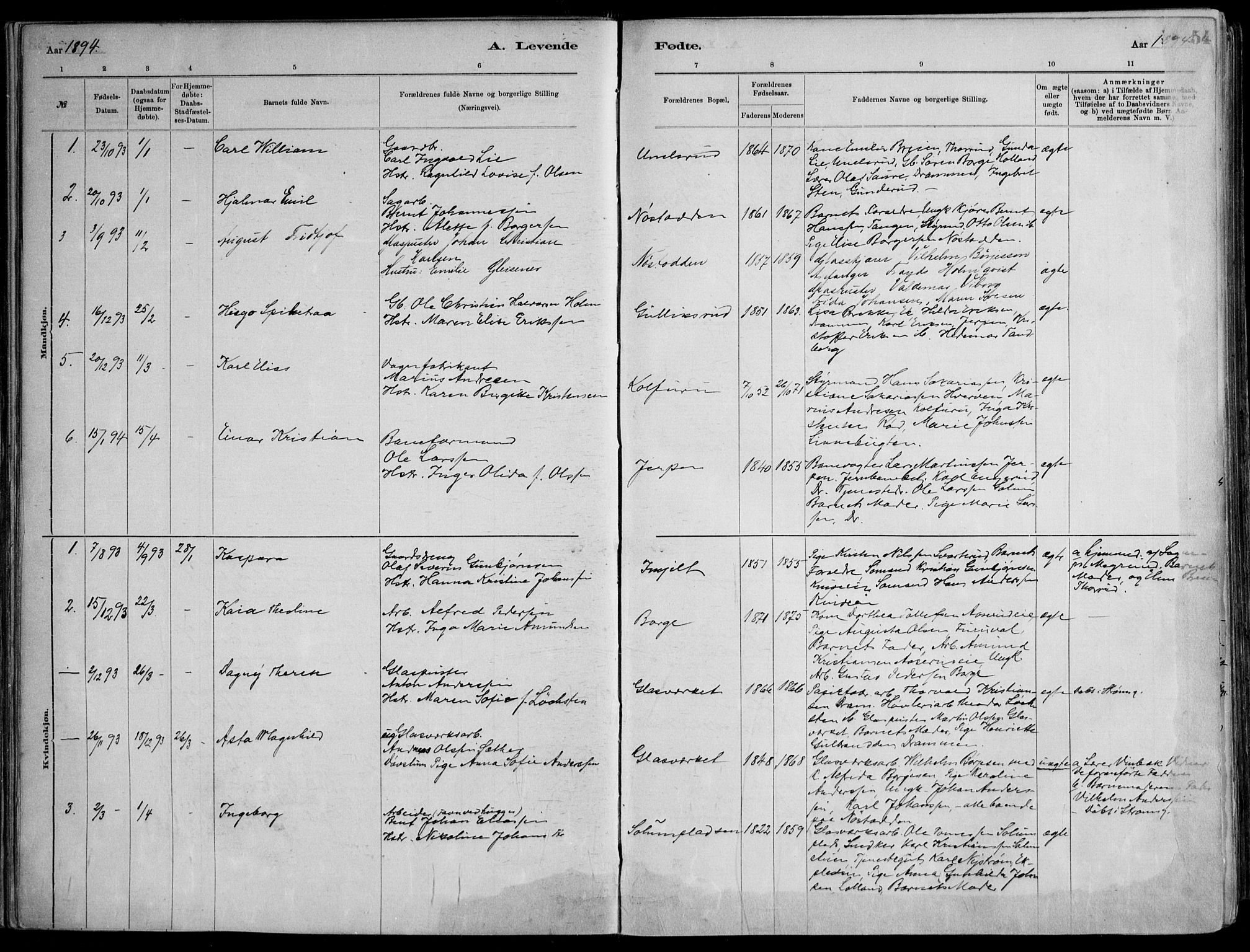 Skoger kirkebøker, AV/SAKO-A-59/F/Fa/L0006: Parish register (official) no. I 6, 1885-1910, p. 54