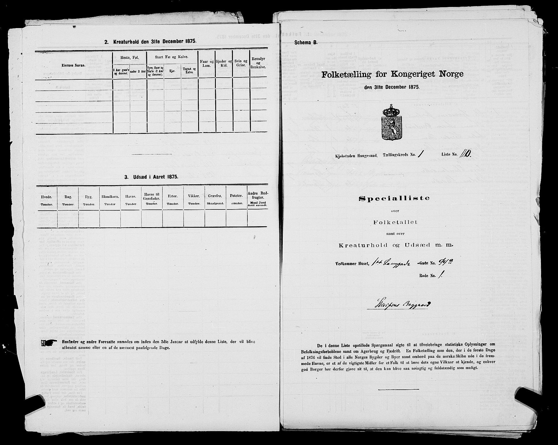 SAST, 1875 census for 1106B Torvastad/Haugesund, 1875, p. 5