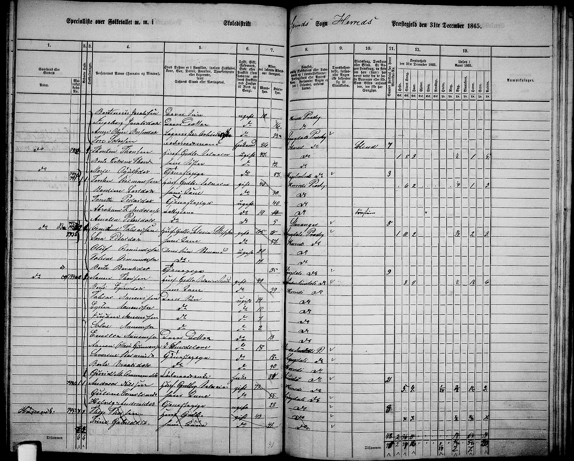 RA, 1865 census for Herad, 1865, p. 64