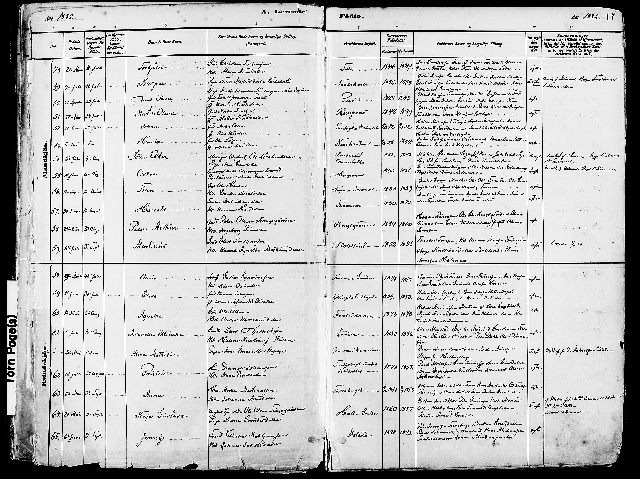 Grue prestekontor, AV/SAH-PREST-036/H/Ha/Haa/L0012: Parish register (official) no. 12, 1881-1897, p. 17