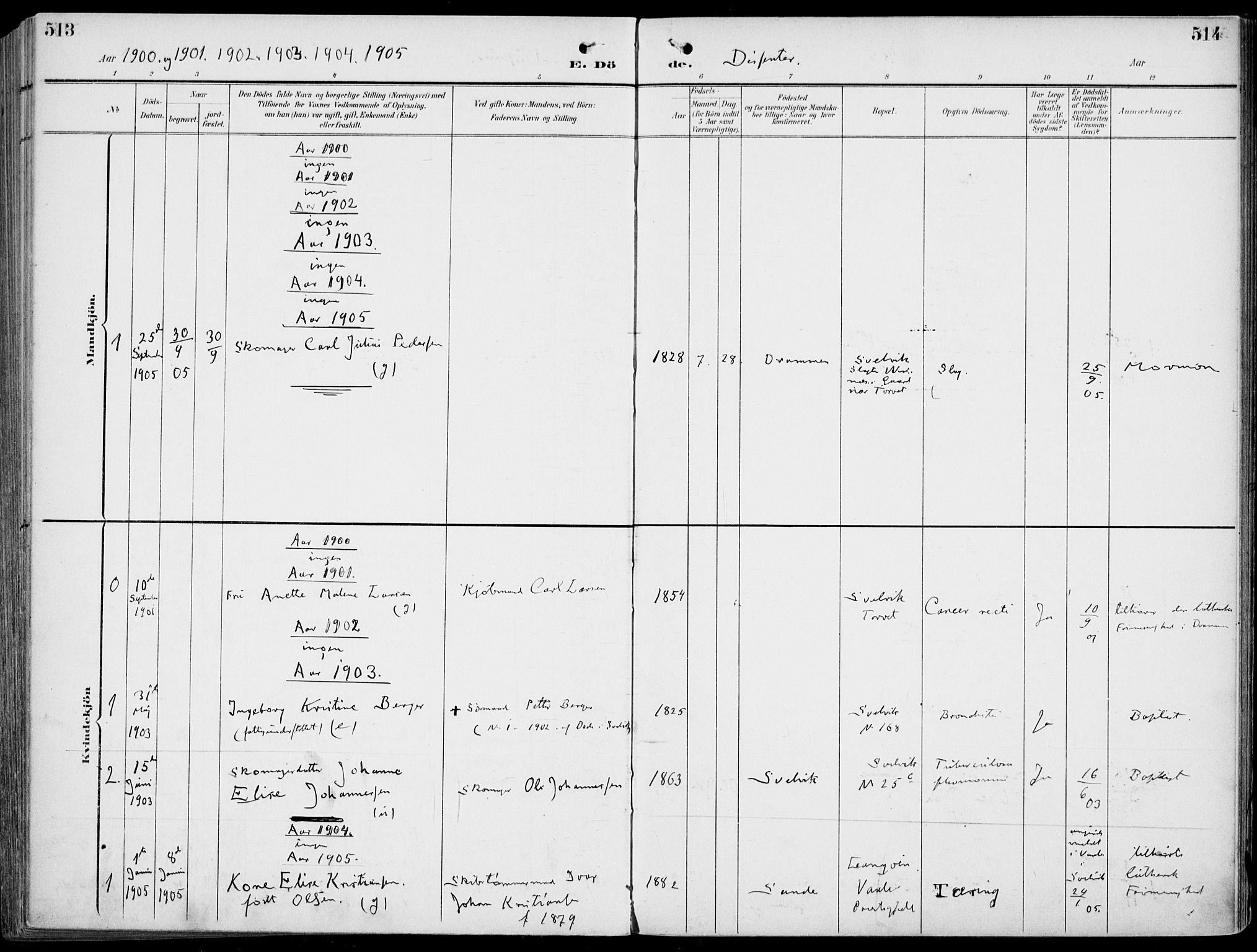 Strømm kirkebøker, AV/SAKO-A-322/F/Fb/L0002: Parish register (official) no. II 2, 1900-1919, p. 513-514