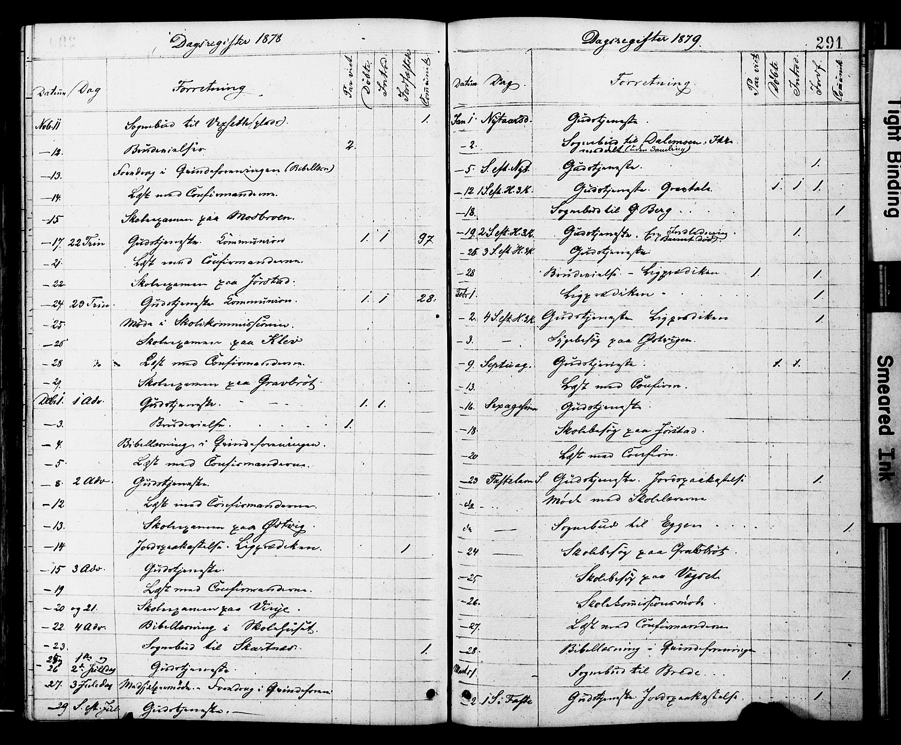 Ministerialprotokoller, klokkerbøker og fødselsregistre - Nord-Trøndelag, SAT/A-1458/749/L0473: Parish register (official) no. 749A07, 1873-1887, p. 291