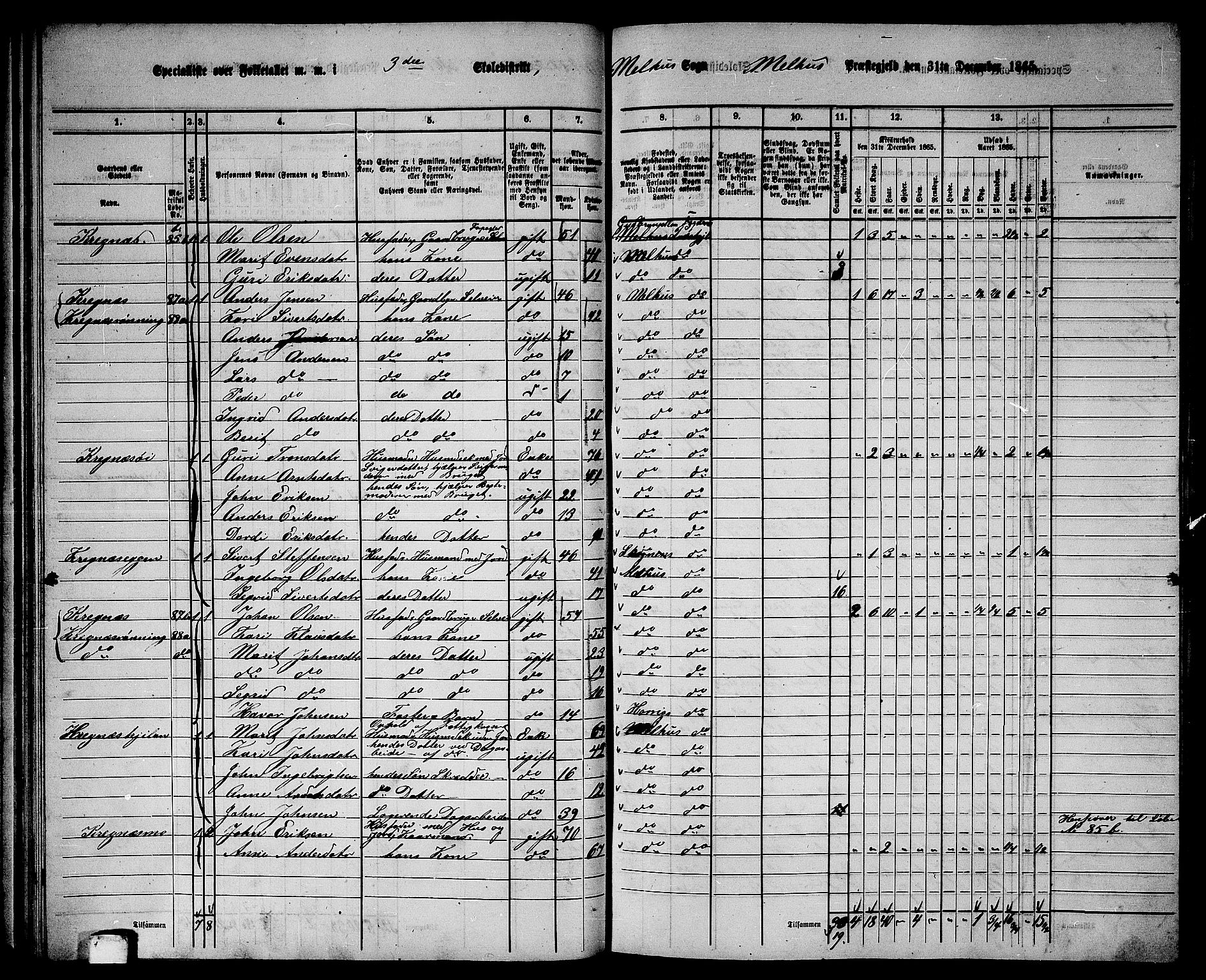 RA, 1865 census for Melhus, 1865, p. 64