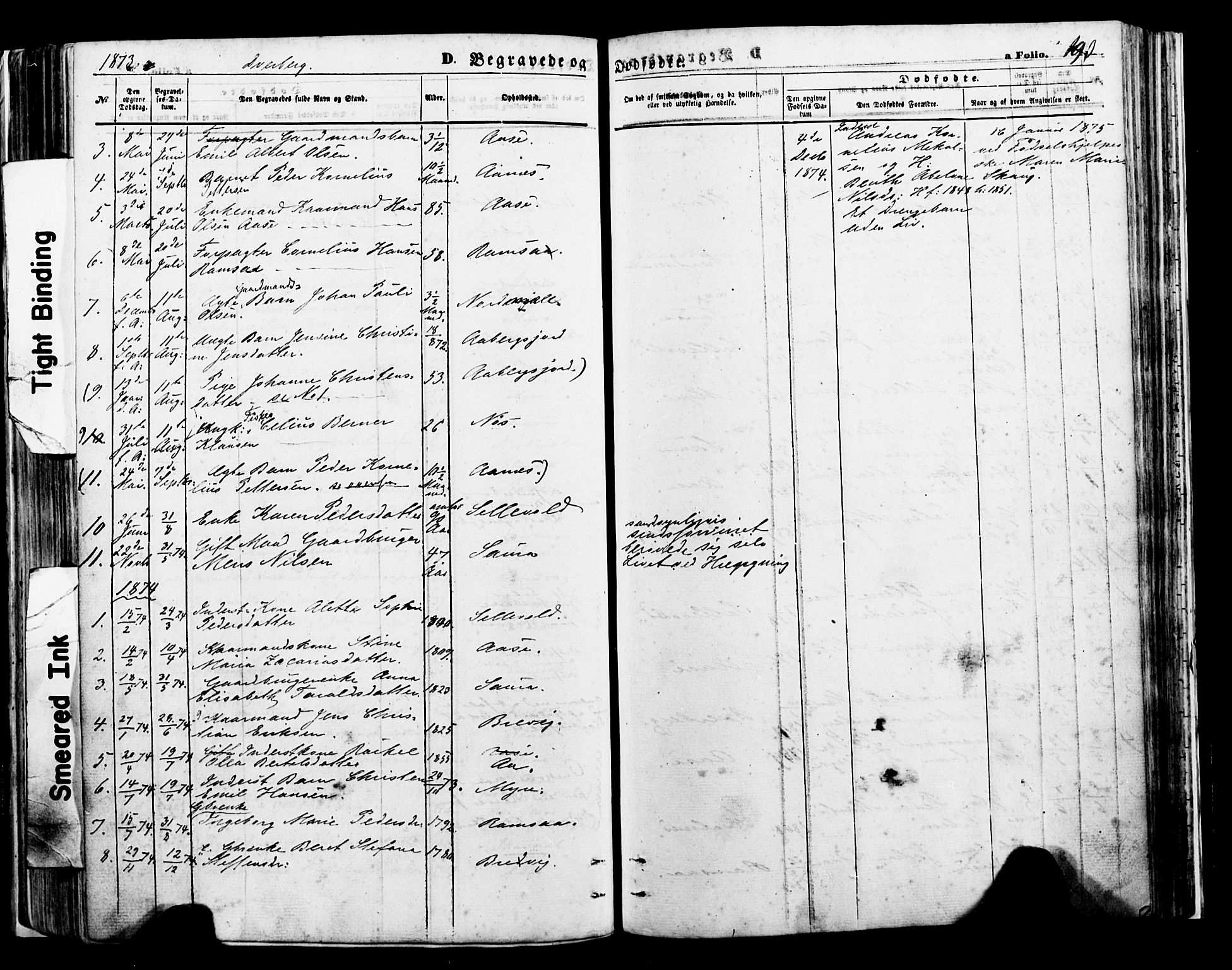 Ministerialprotokoller, klokkerbøker og fødselsregistre - Nordland, SAT/A-1459/897/L1397: Parish register (official) no. 897A05 /1, 1867-1880, p. 193