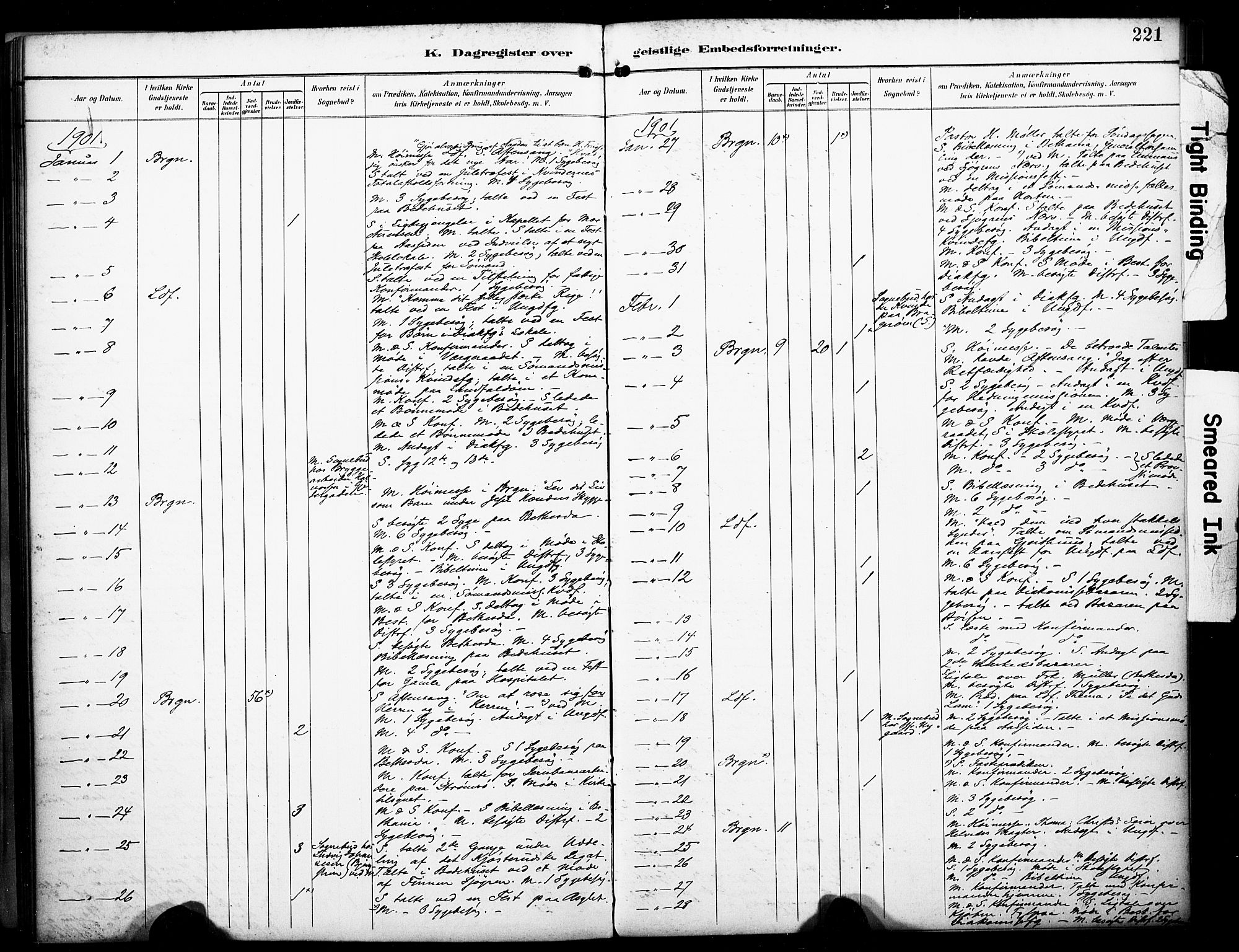 Bragernes kirkebøker, SAKO/A-6/F/Fc/L0006: Parish register (official) no. III 6, 1888-1899, p. 221