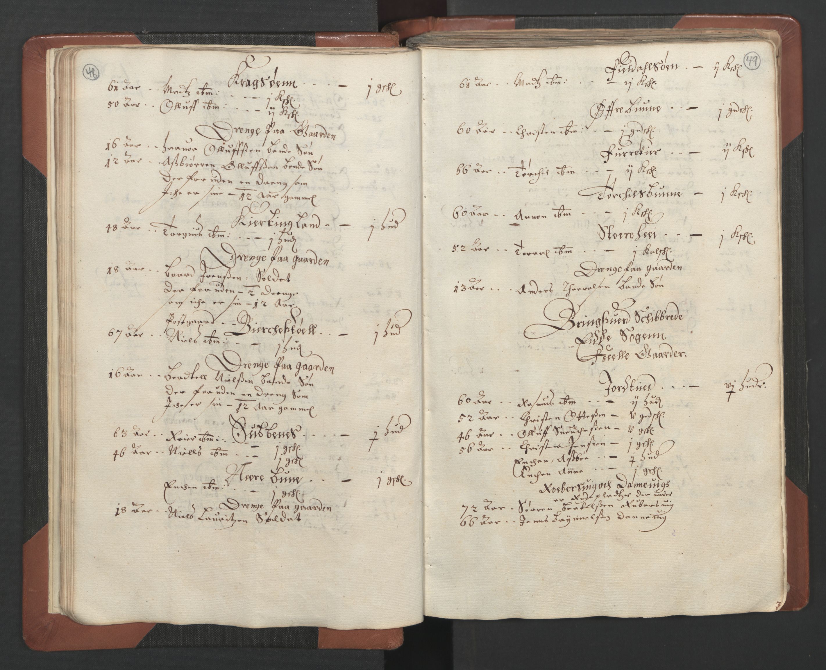 RA, Bailiff's Census 1664-1666, no. 7: Nedenes fogderi, 1664-1666, p. 48-49