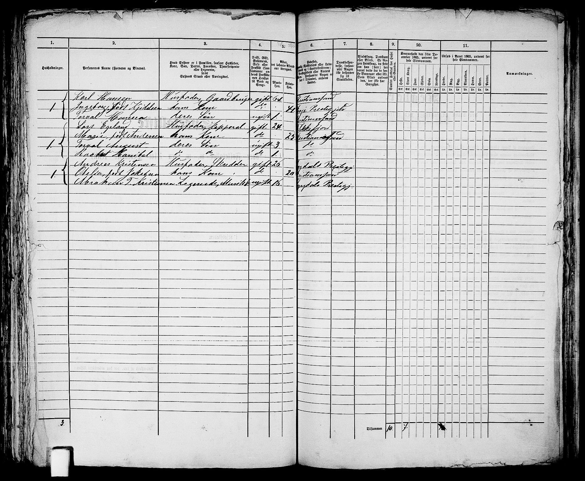 RA, 1865 census for Kristiansand, 1865, p. 1396