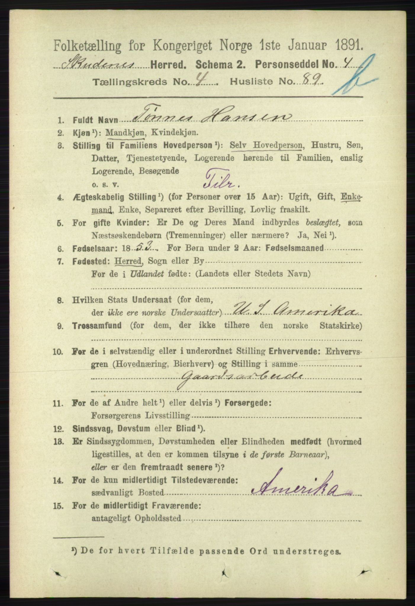 RA, 1891 census for 1150 Skudenes, 1891, p. 5045