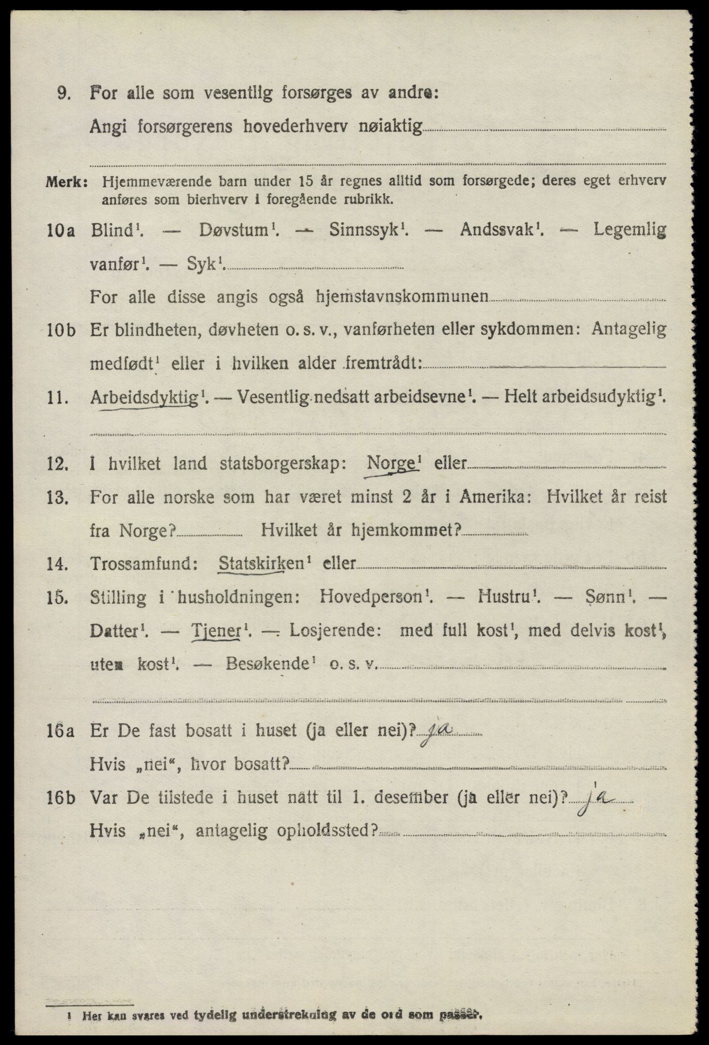 SAO, 1920 census for Nes, 1920, p. 13411