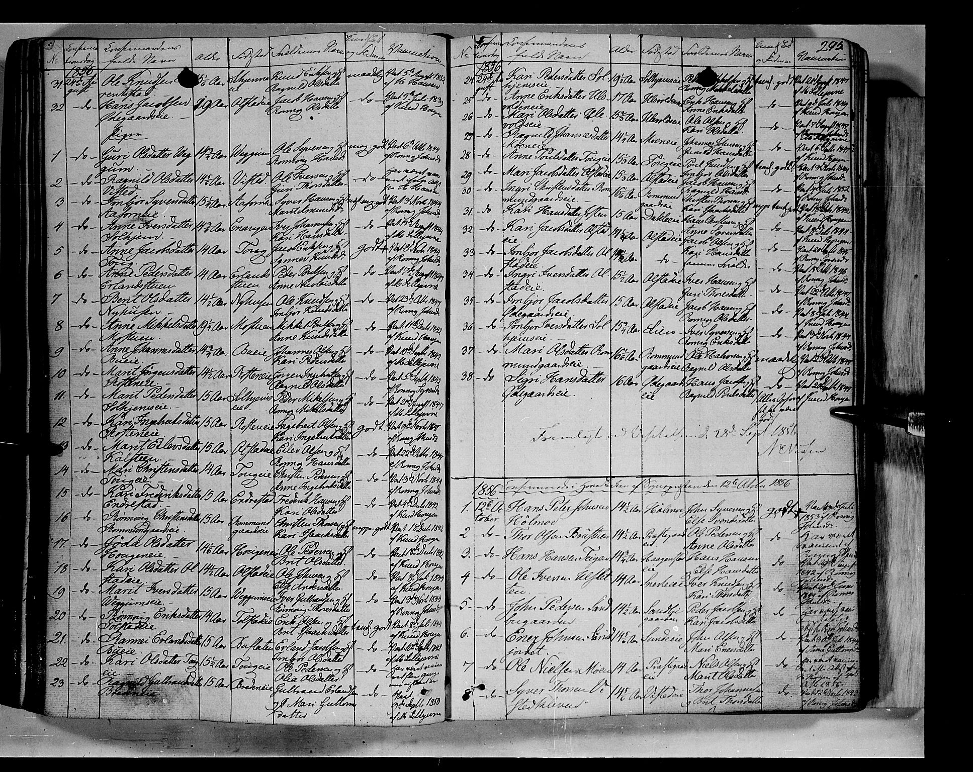 Vågå prestekontor, AV/SAH-PREST-076/H/Ha/Haa/L0005: Parish register (official) no. 5 /1, 1842-1856, p. 295