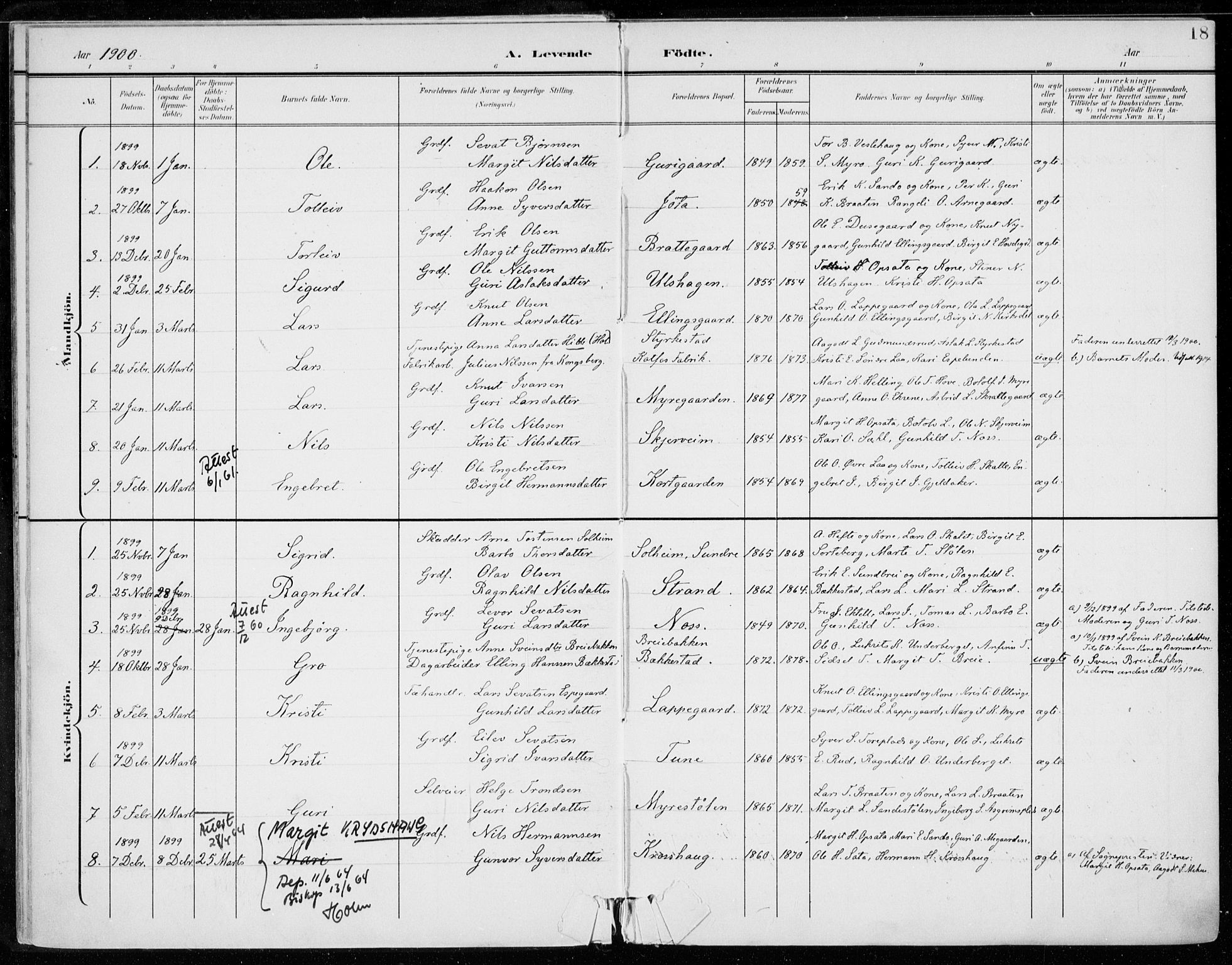 Ål kirkebøker, SAKO/A-249/F/Fa/L0009: Parish register (official) no. I 9, 1897-1915, p. 18