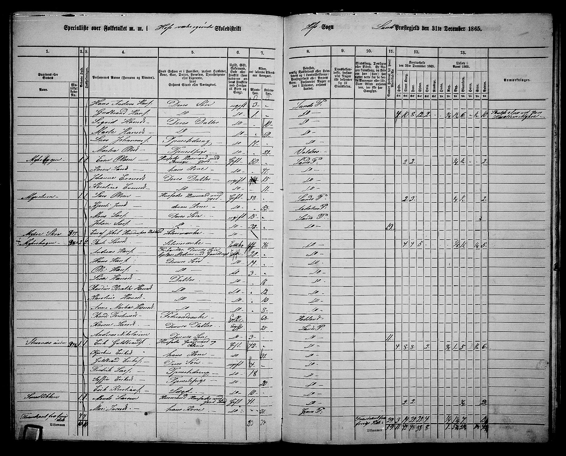 RA, 1865 census for Land, 1865, p. 393