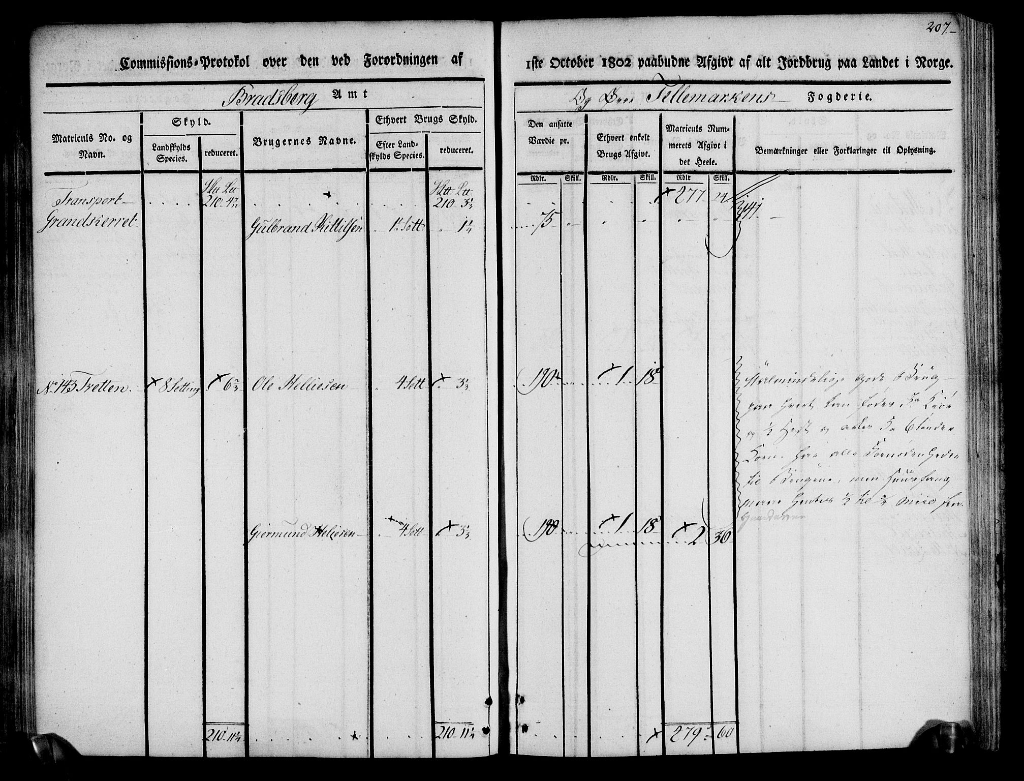 Rentekammeret inntil 1814, Realistisk ordnet avdeling, RA/EA-4070/N/Ne/Nea/L0074: Øvre Telemarken fogderi. Kommisjonsprotokoll for fogderiets østre del - Tinn, Hjartdal og Seljord prestegjeld., 1803, p. 207