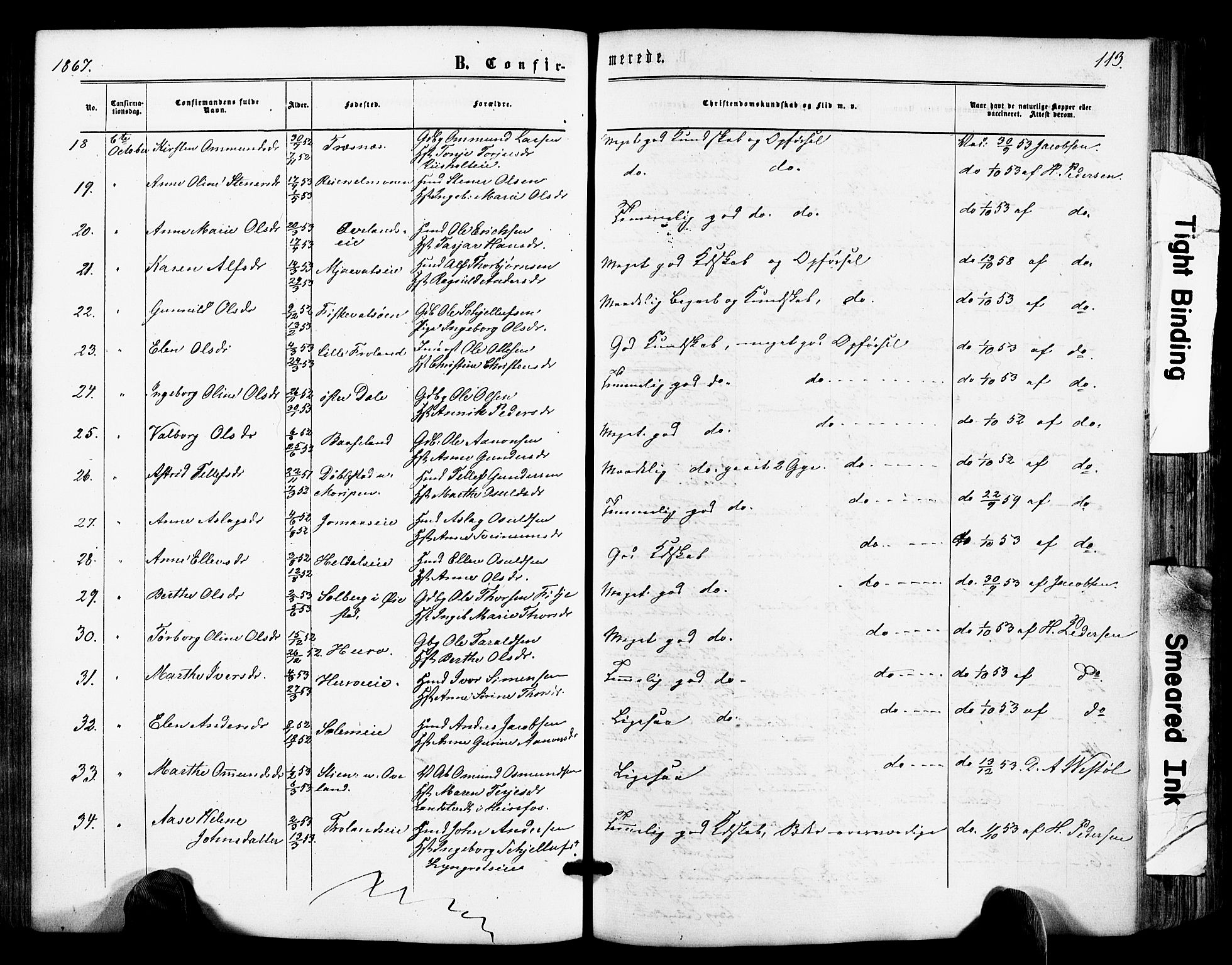 Froland sokneprestkontor, SAK/1111-0013/F/Fa/L0003: Parish register (official) no. A 3, 1864-1881, p. 113