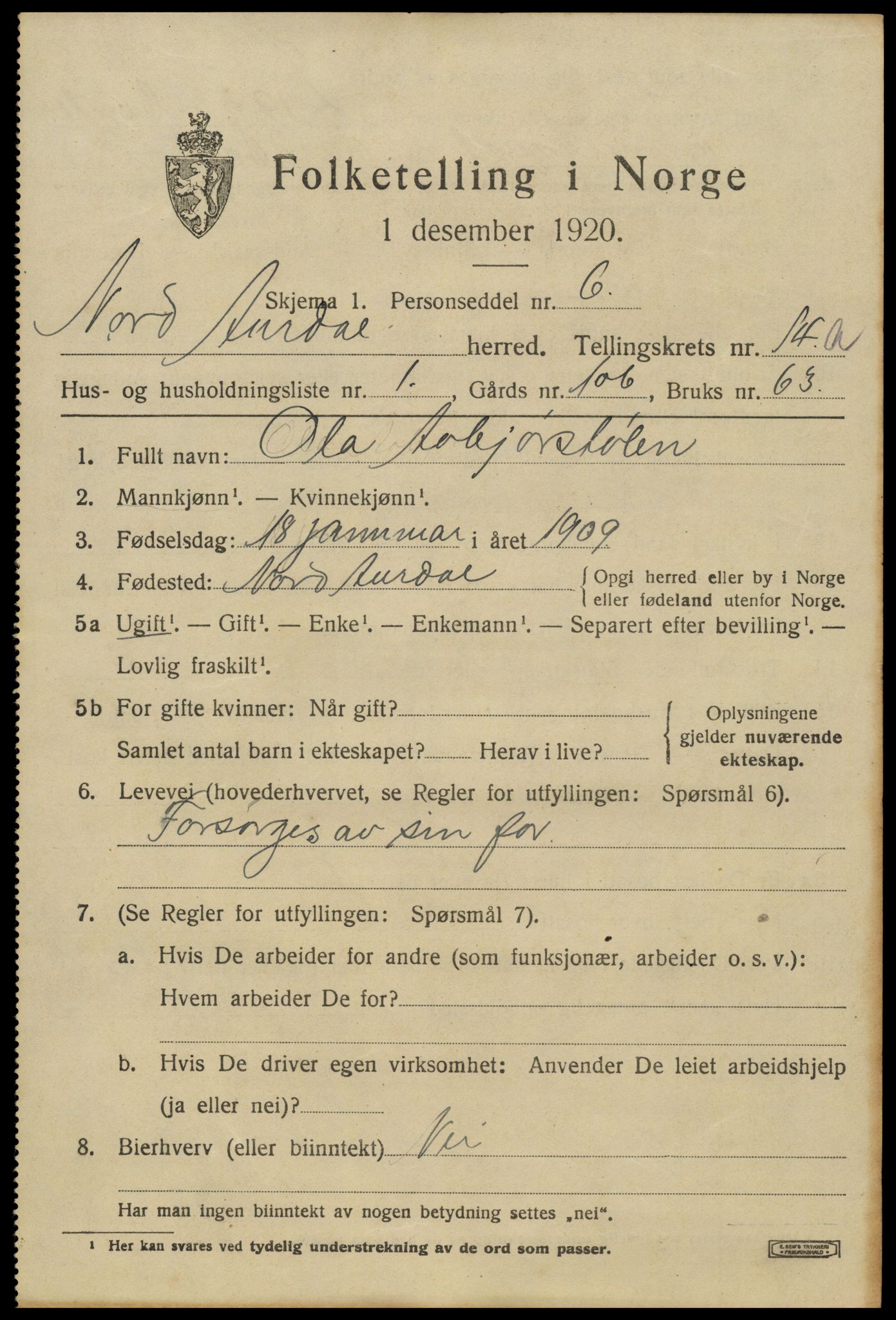 SAH, 1920 census for Nord-Aurdal, 1920, p. 10994