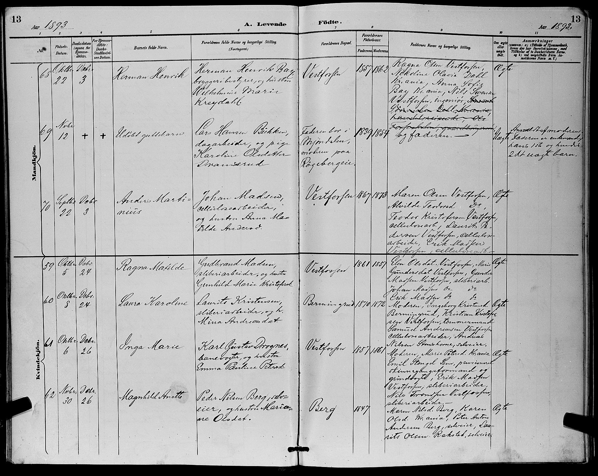 Eiker kirkebøker, AV/SAKO-A-4/G/Ga/L0007: Parish register (copy) no. I 7, 1893-1902, p. 13