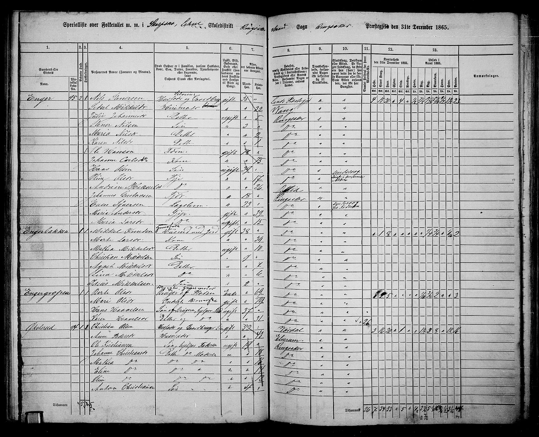 RA, 1865 census for Ringsaker, 1865, p. 140