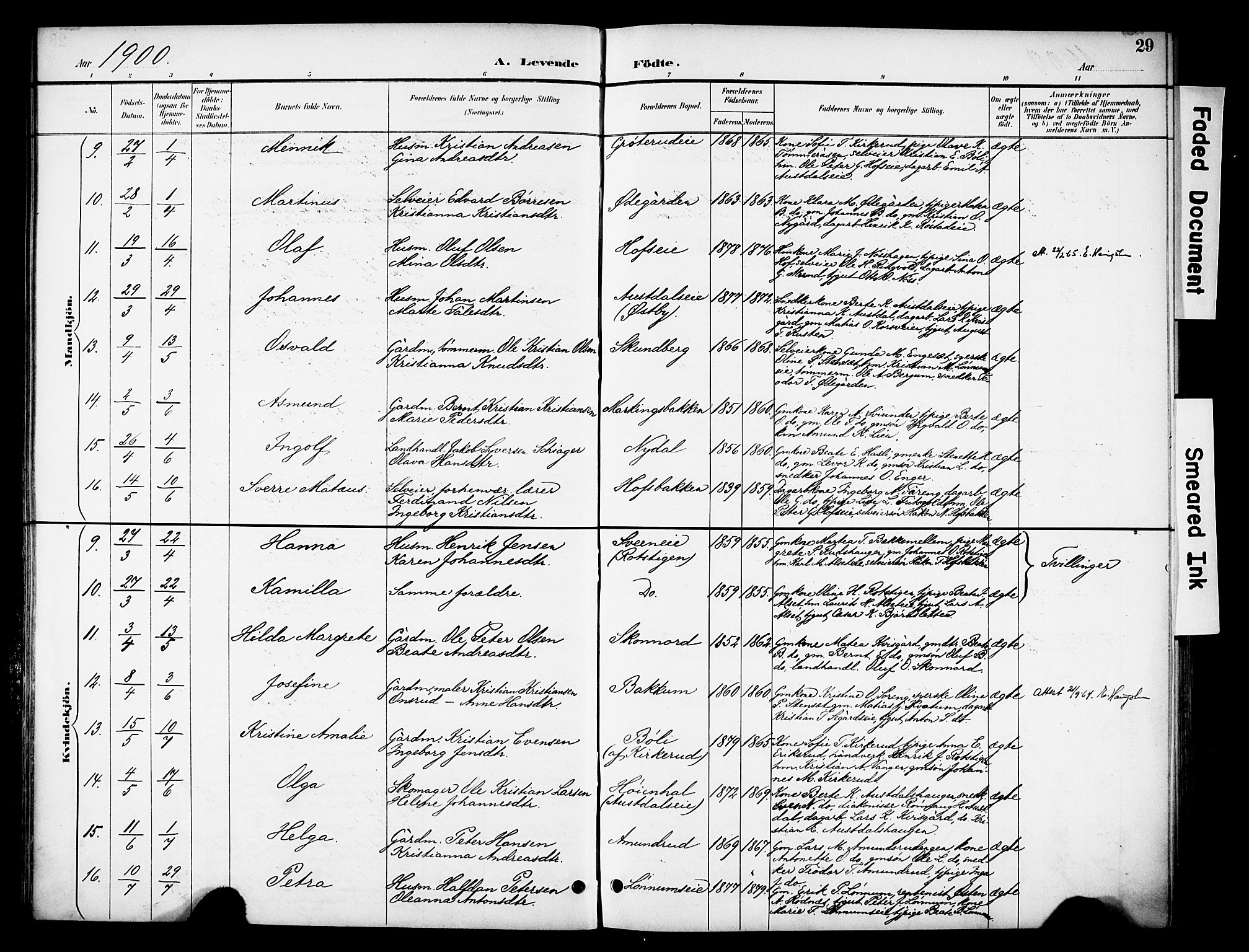 Biri prestekontor, SAH/PREST-096/H/Ha/Haa/L0008: Parish register (official) no. 8, 1894-1901, p. 29