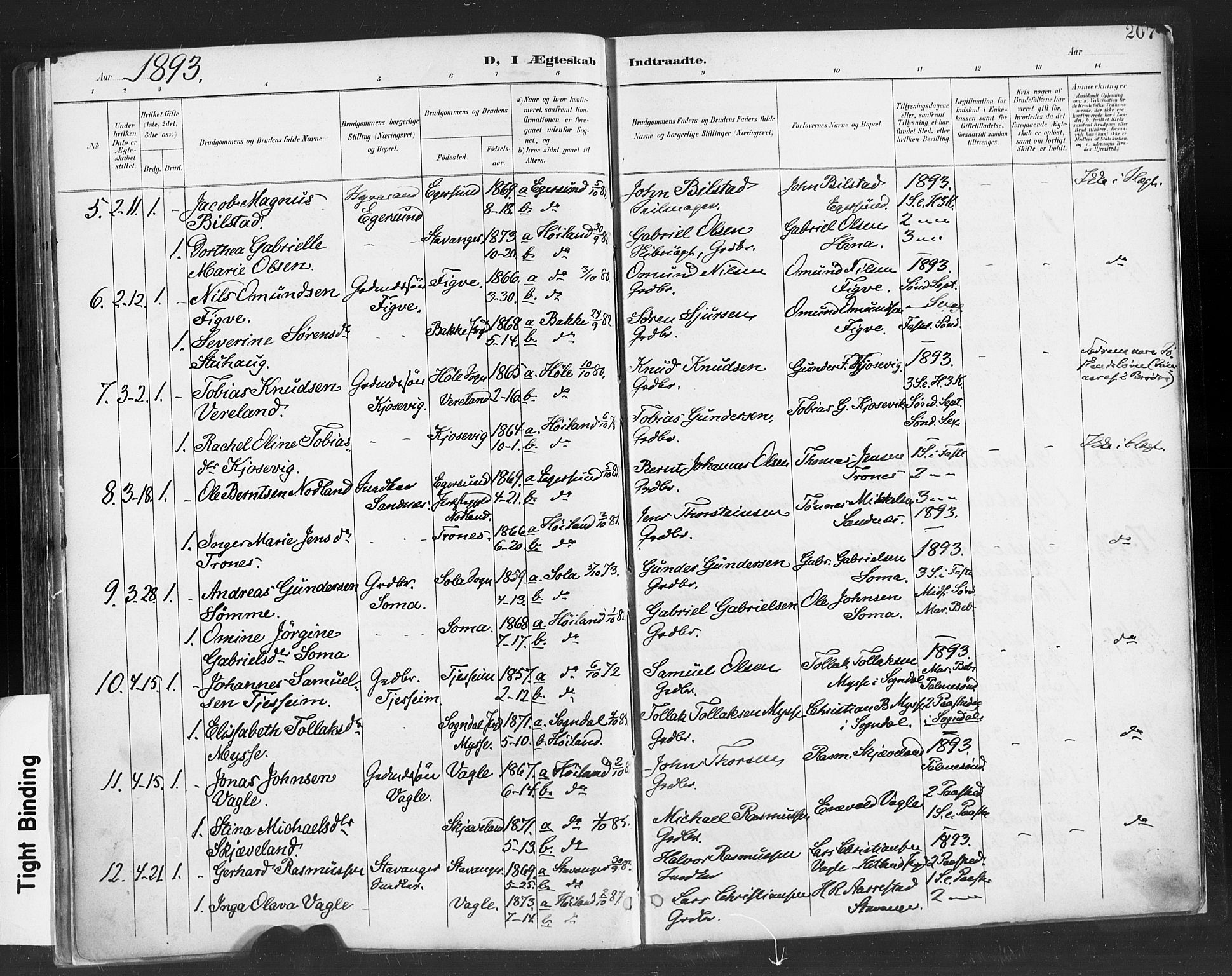 Høyland sokneprestkontor, SAST/A-101799/001/30BA/L0013: Parish register (official) no. A 13.1, 1889-1898, p. 207