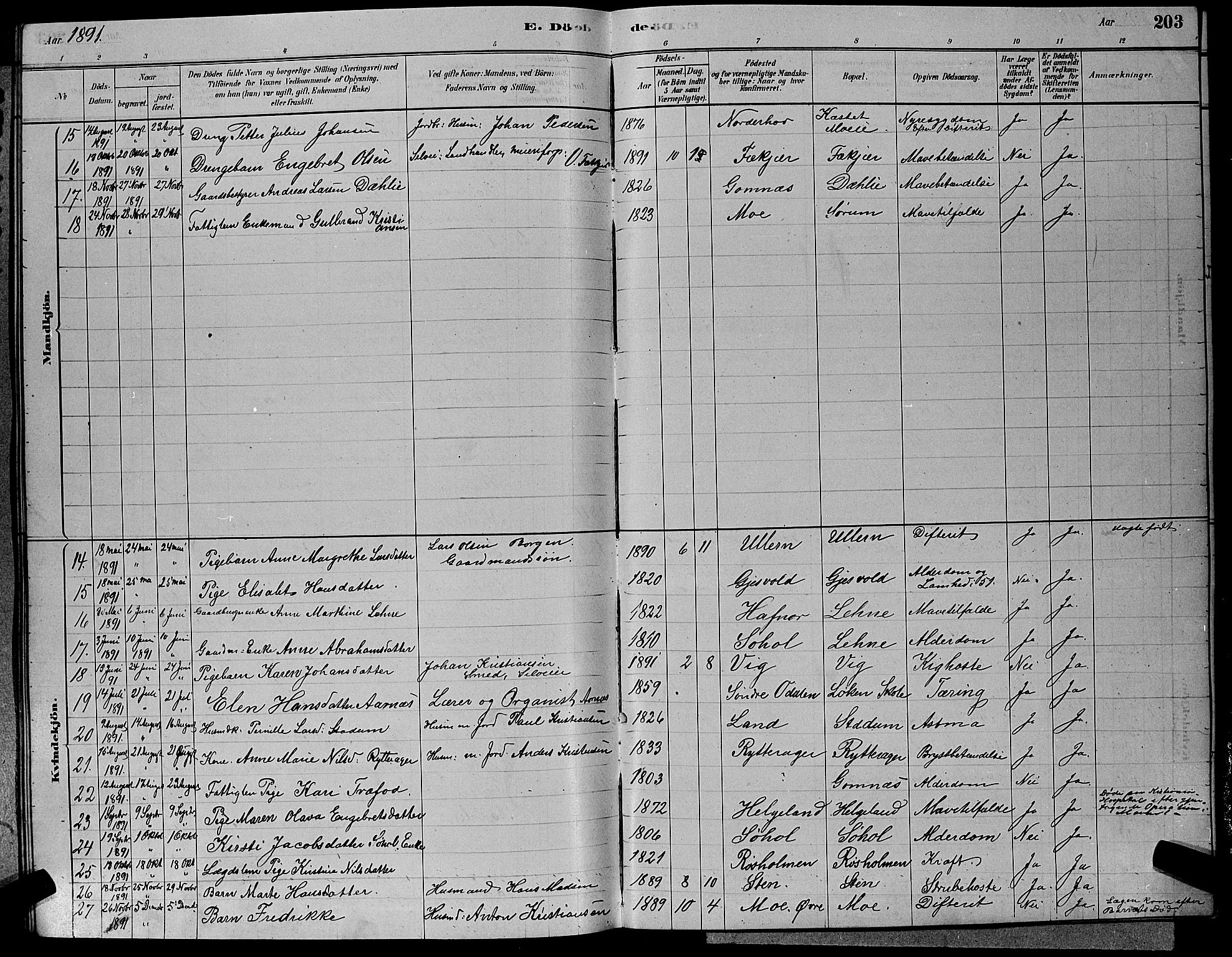 Hole kirkebøker, AV/SAKO-A-228/G/Ga/L0003: Parish register (copy) no. I 3, 1879-1904, p. 203