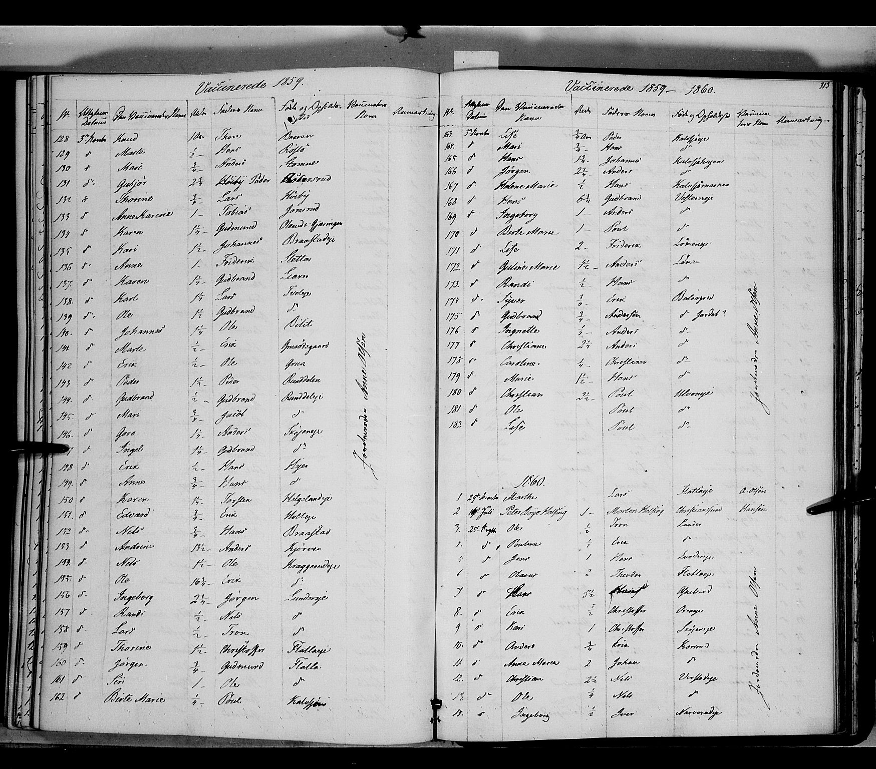 Jevnaker prestekontor, SAH/PREST-116/H/Ha/Haa/L0007: Parish register (official) no. 7, 1858-1876, p. 313