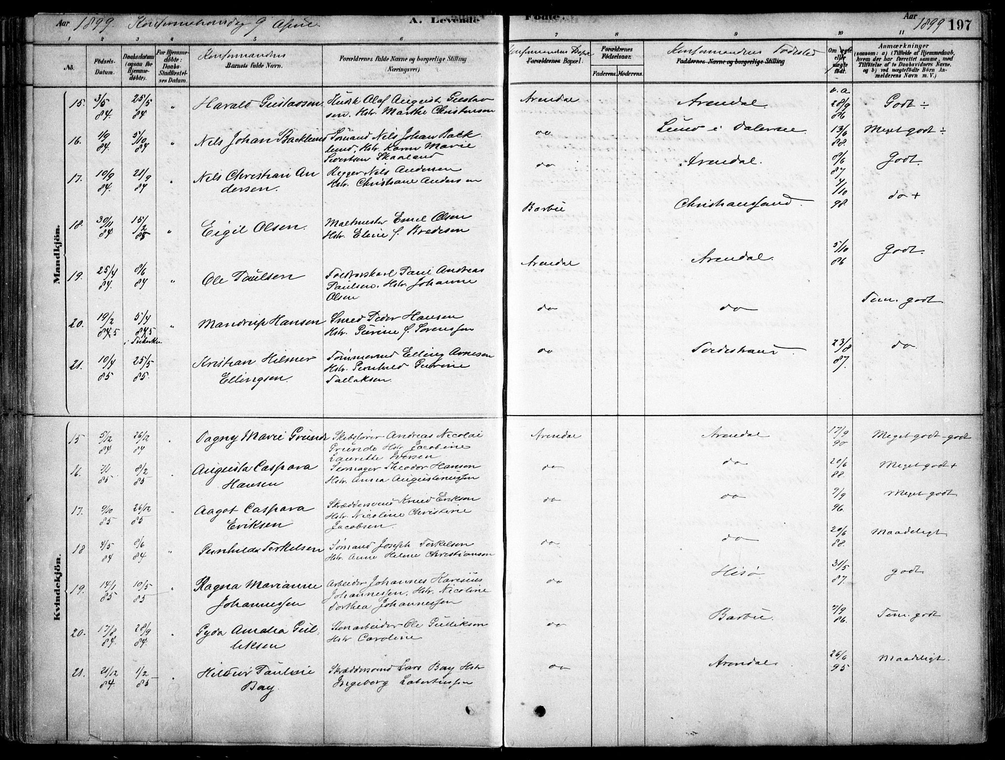 Arendal sokneprestkontor, Trefoldighet, SAK/1111-0040/F/Fa/L0008: Parish register (official) no. A 8, 1878-1899, p. 197