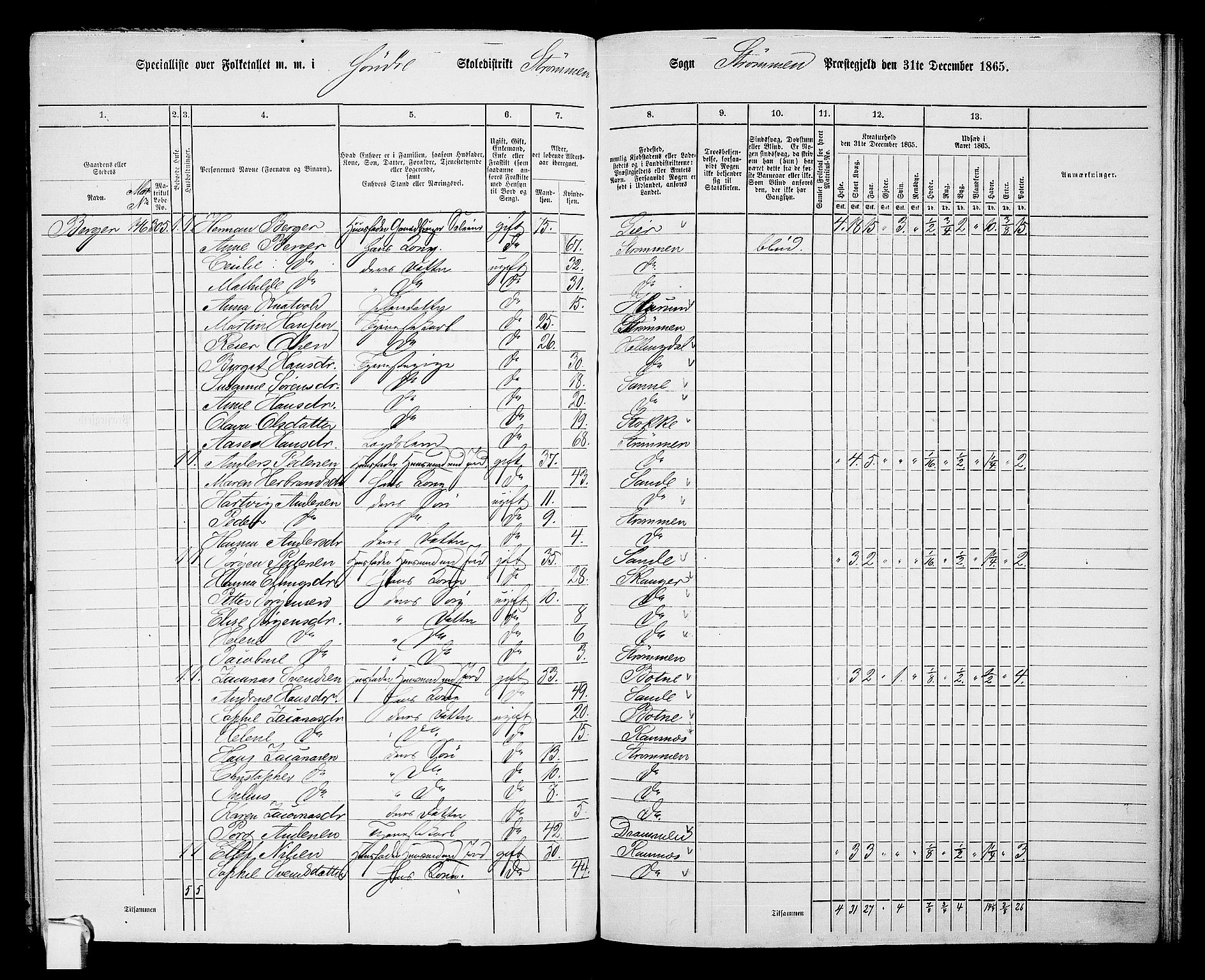 RA, 1865 census for Strømm, 1865, p. 5