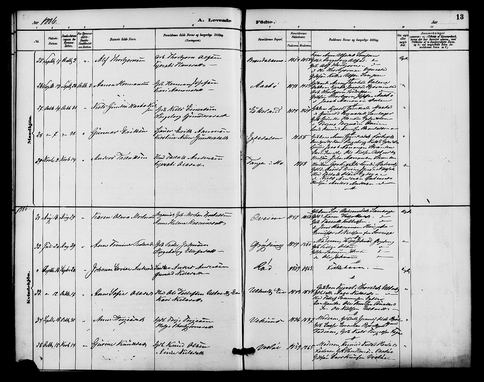 Gjerstad sokneprestkontor, AV/SAK-1111-0014/F/Fa/Faa/L0009: Parish register (official) no. A 9, 1885-1890, p. 13