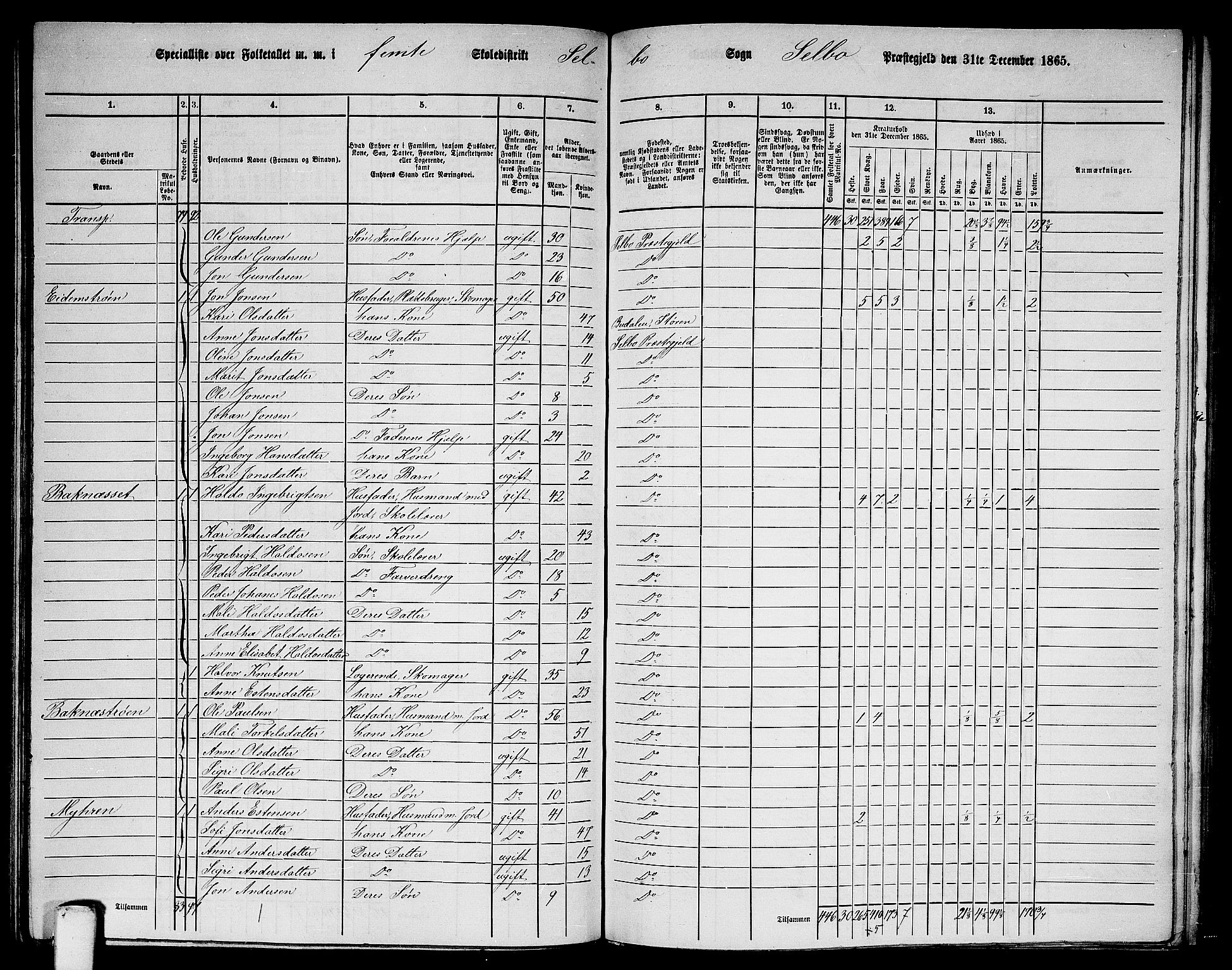 RA, 1865 census for Selbu, 1865, p. 82