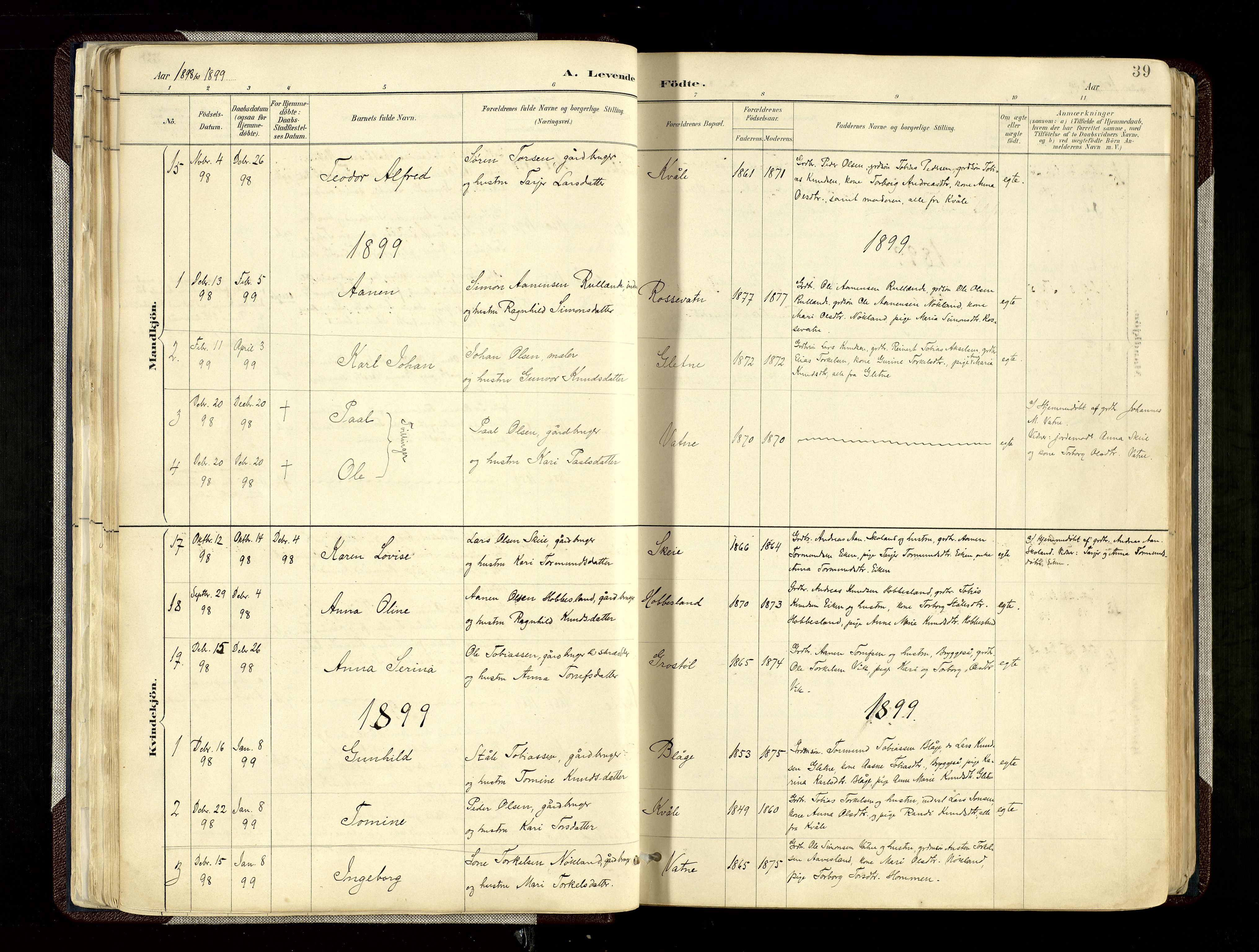 Hægebostad sokneprestkontor, AV/SAK-1111-0024/F/Fa/Fab/L0004: Parish register (official) no. A 4, 1887-1929, p. 39
